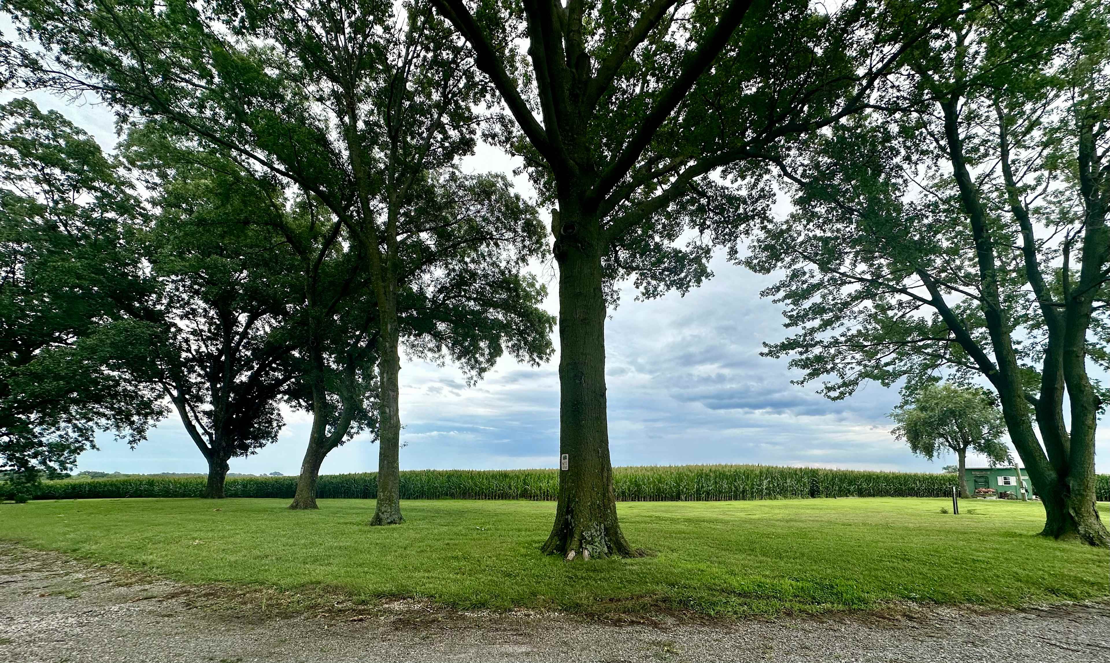 Green Acres at Red Brick Farmhouse