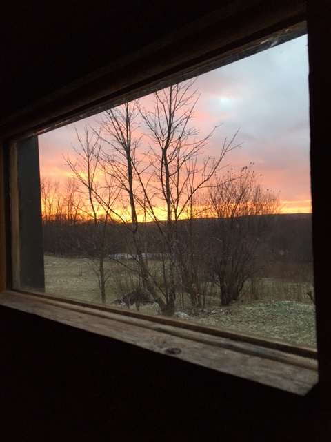 Purple Sunset