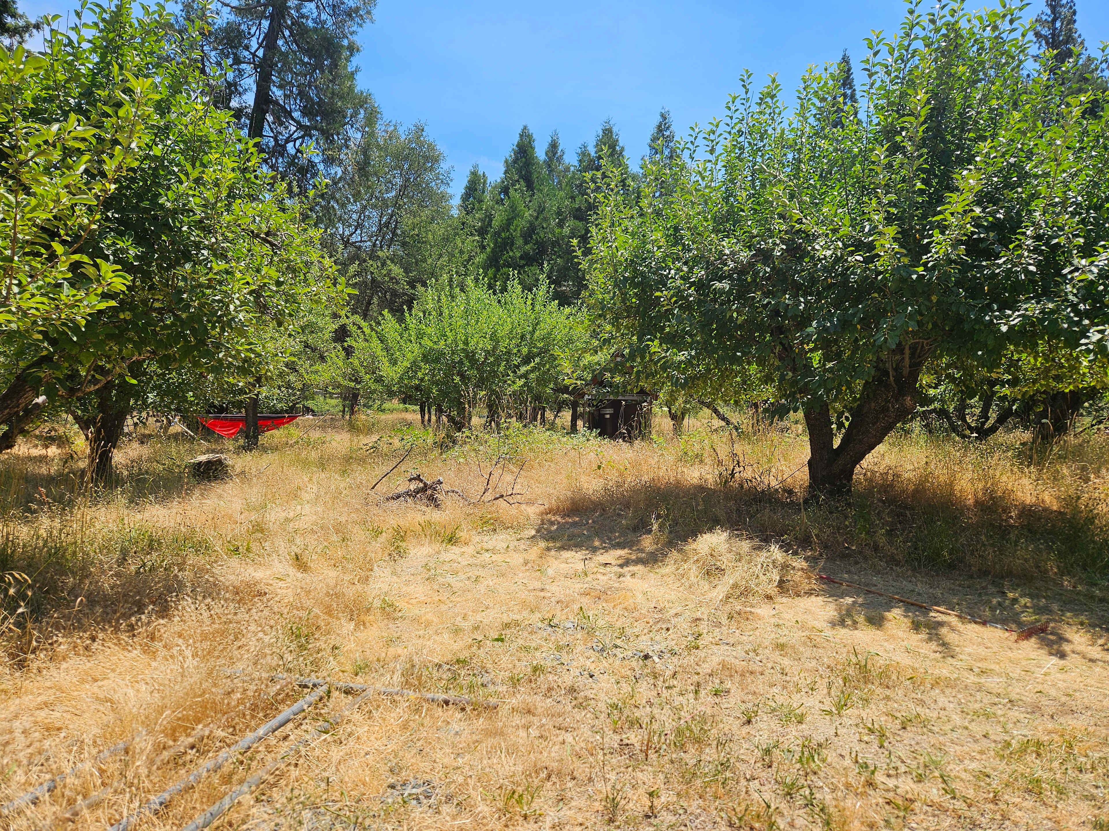 Apple Acre Camping