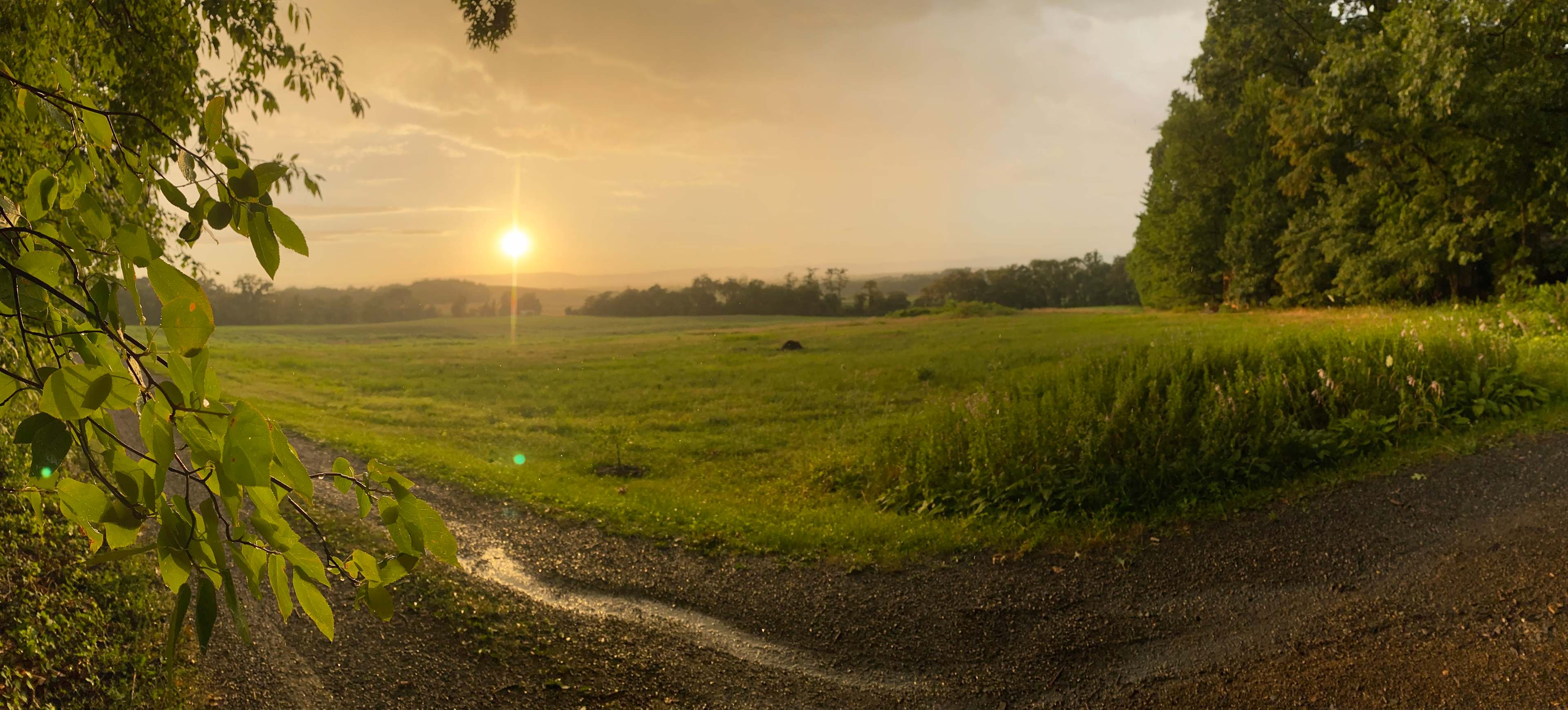 Montside Orchard Camp, Cabin&Sauna