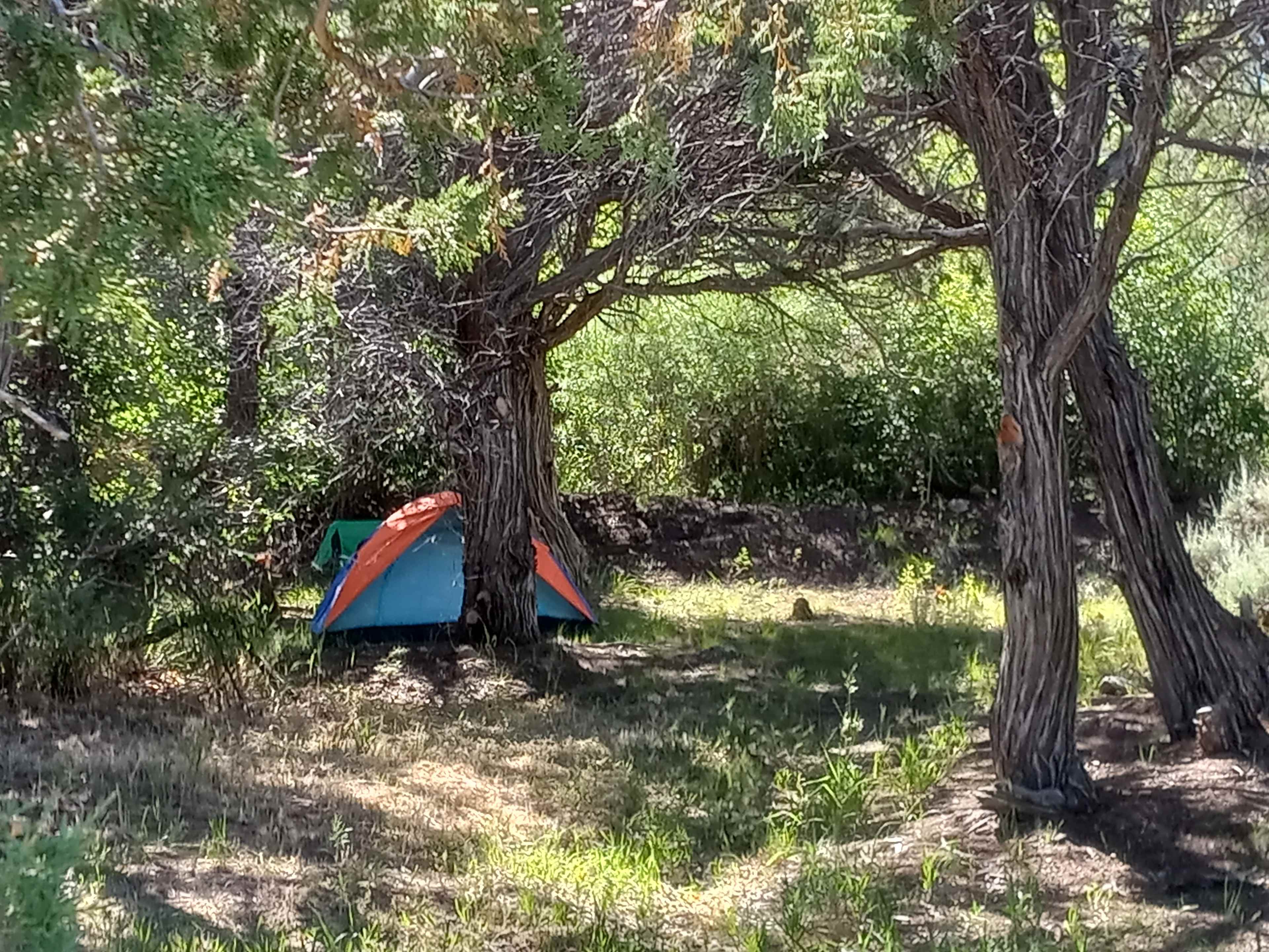 One person tent set up just next to the little river.