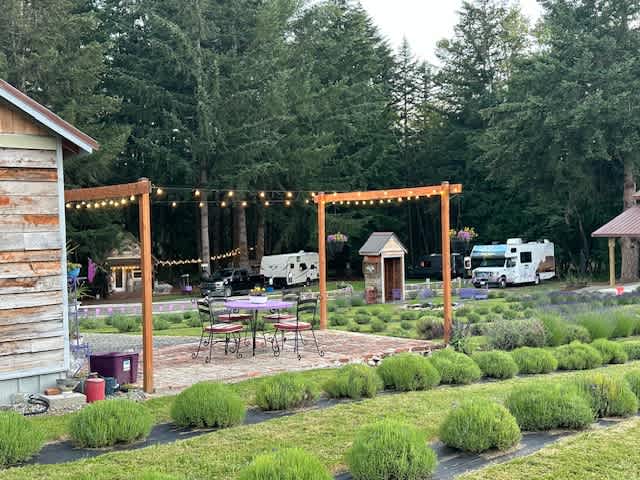 Pace Family Lavender & Hobby Farm