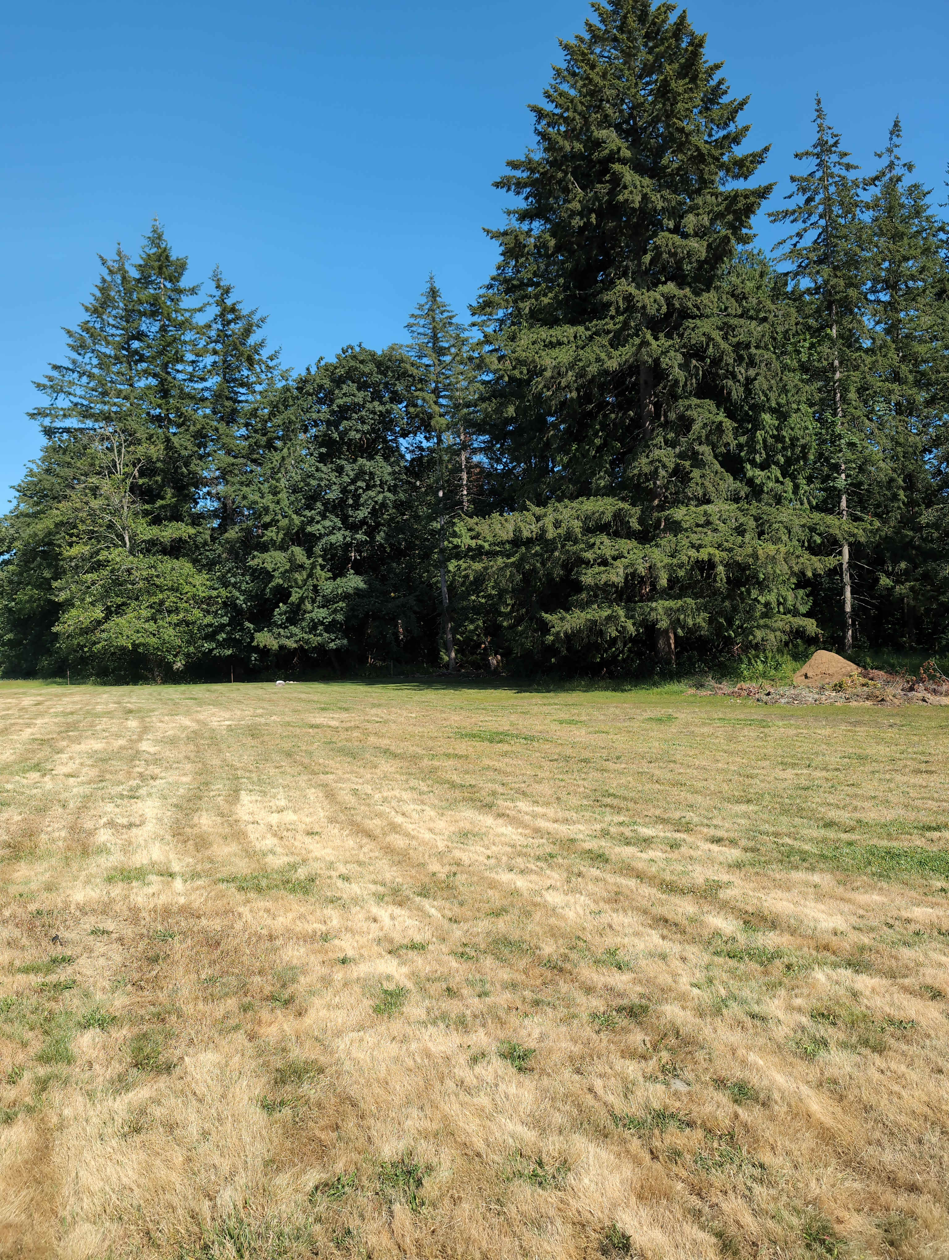 Birch Bay Lawn Care