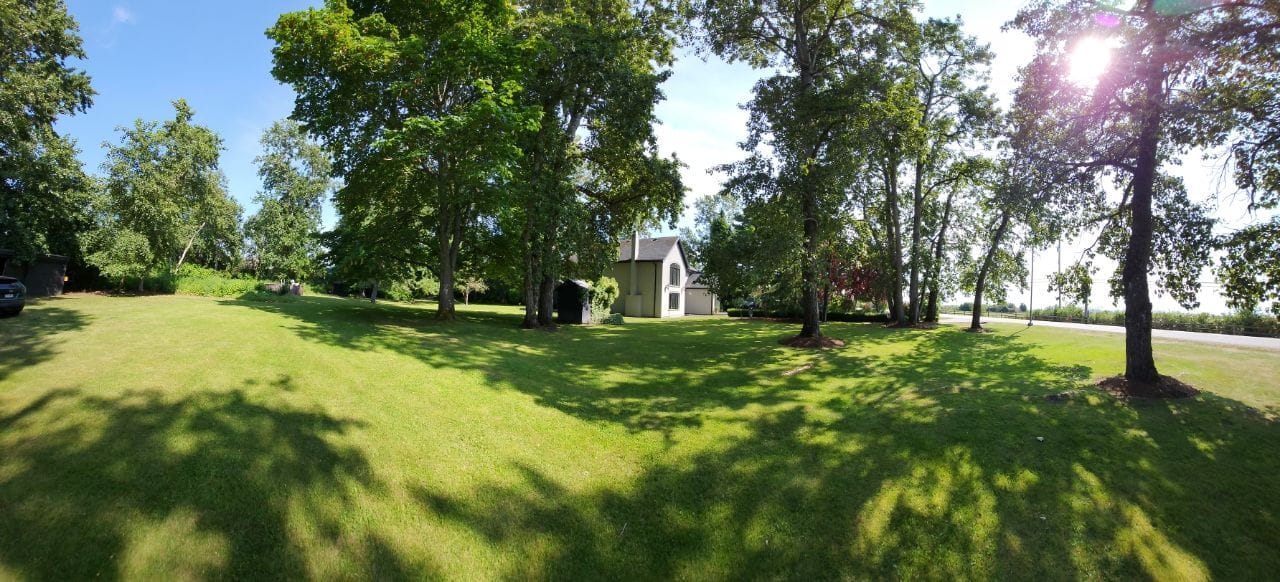 Picture of the site