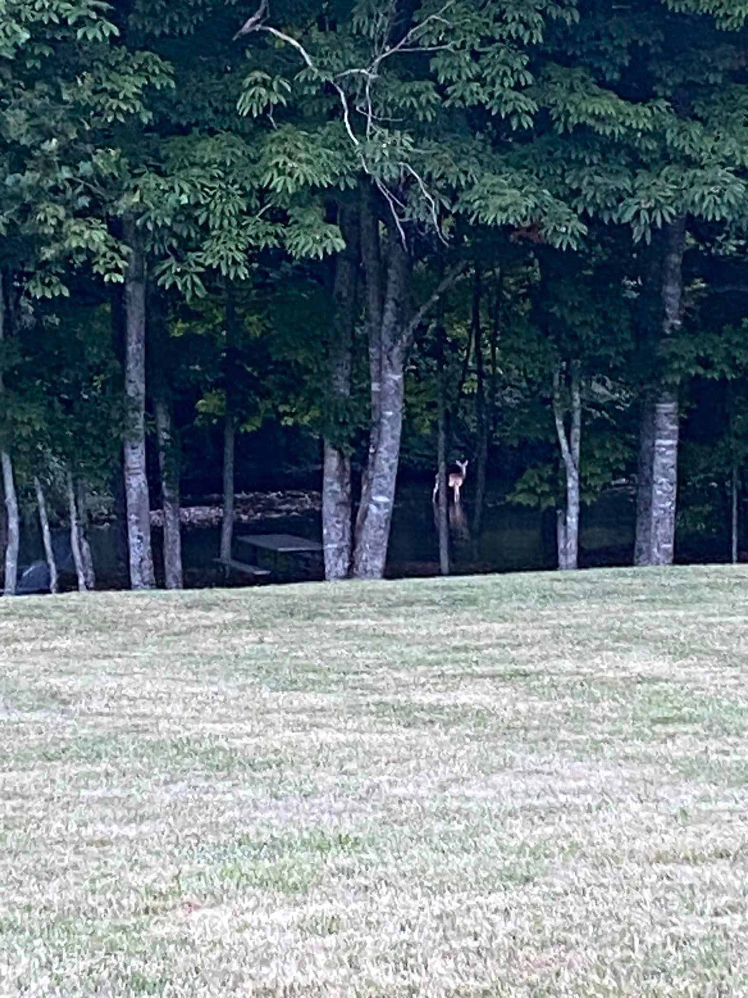 Riverside At TimberRidge