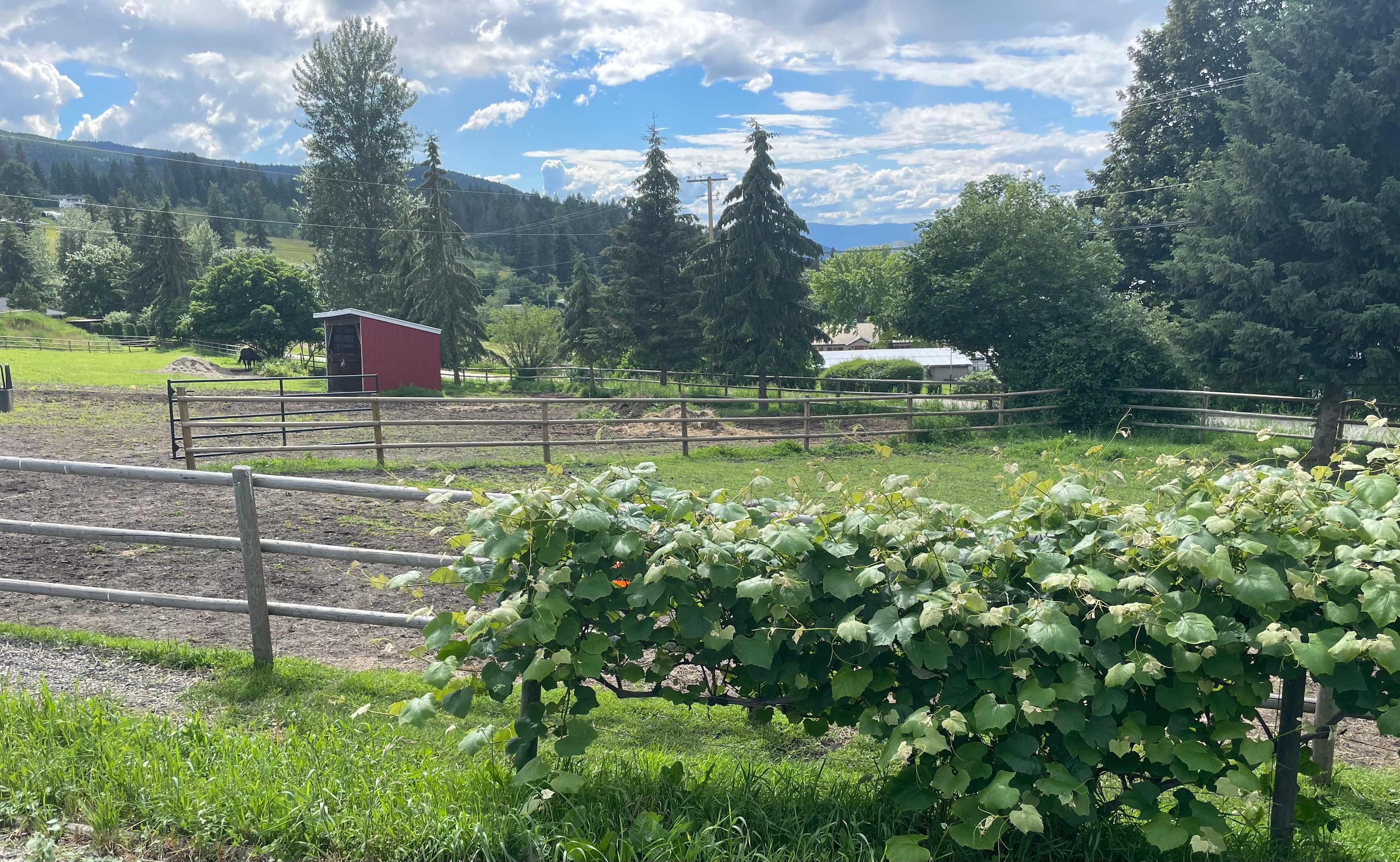 K & J Acres