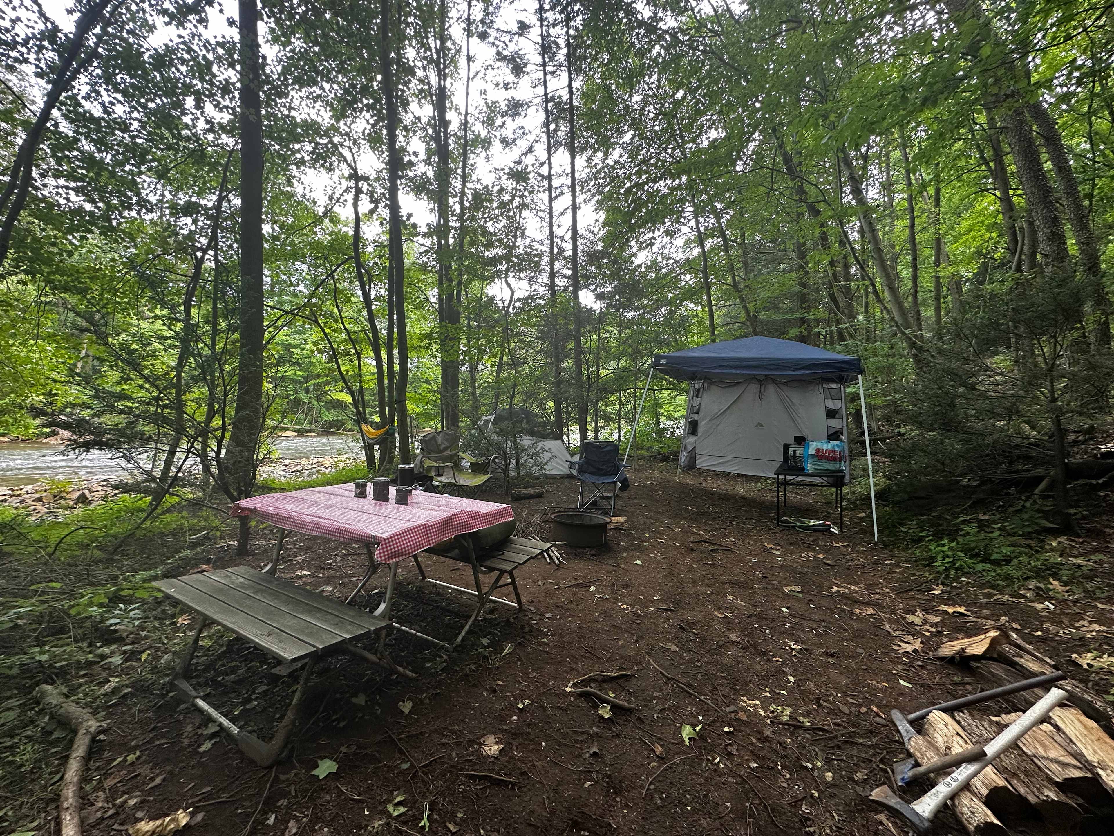 Picture of the site
