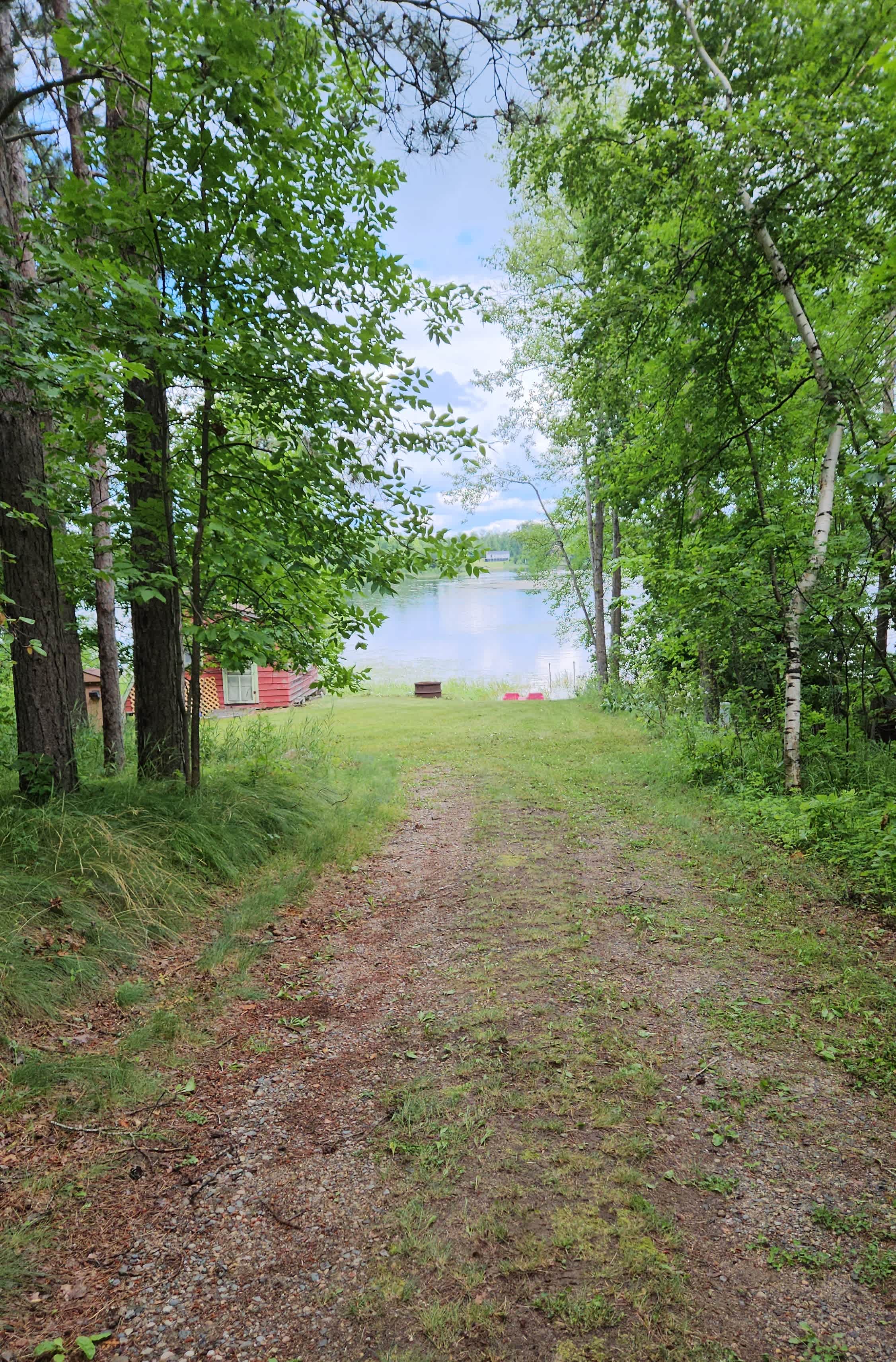 Camp among the pines on Little Jay