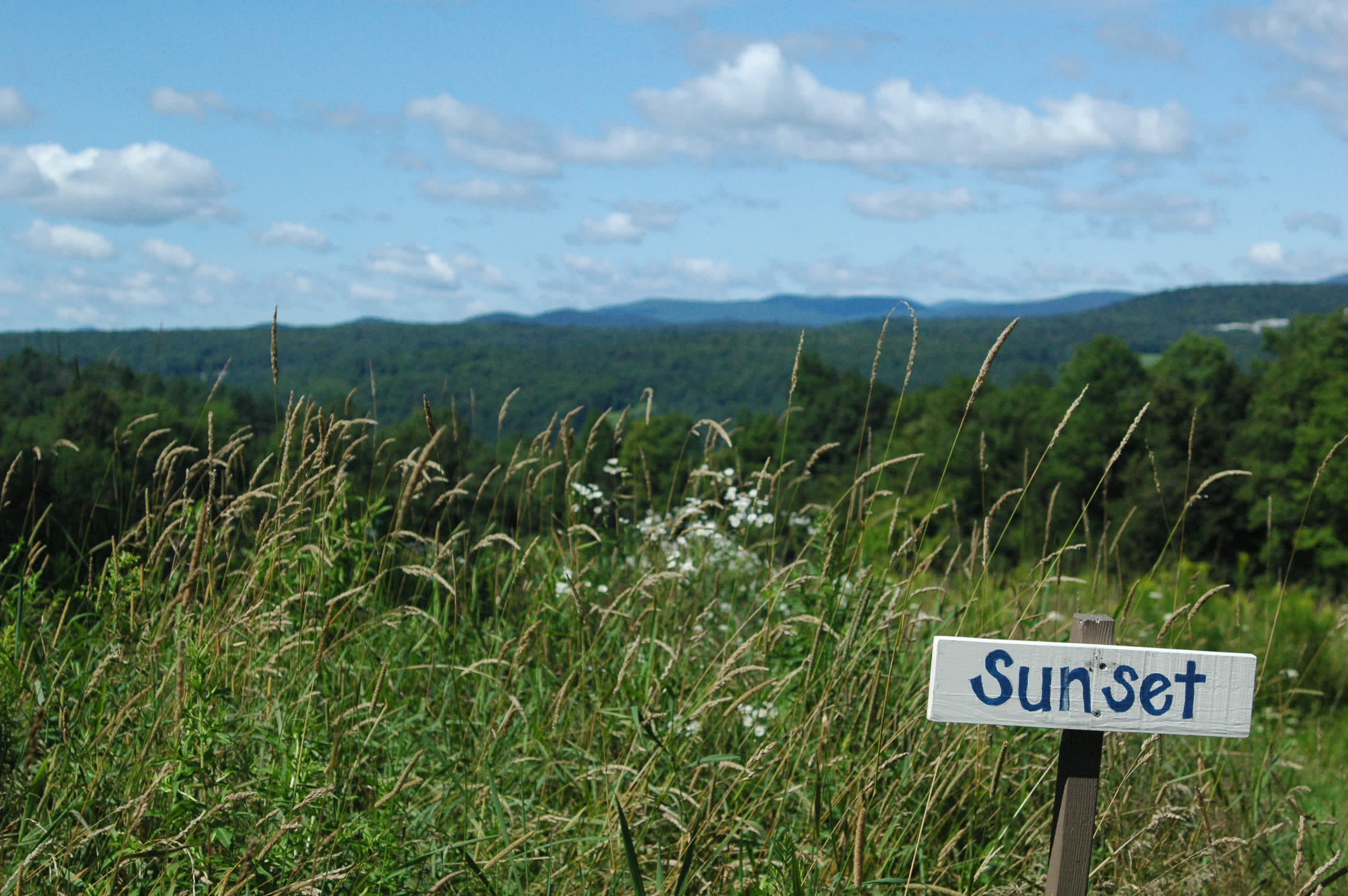 Sunset tent site's view over the meadow to the mountains.