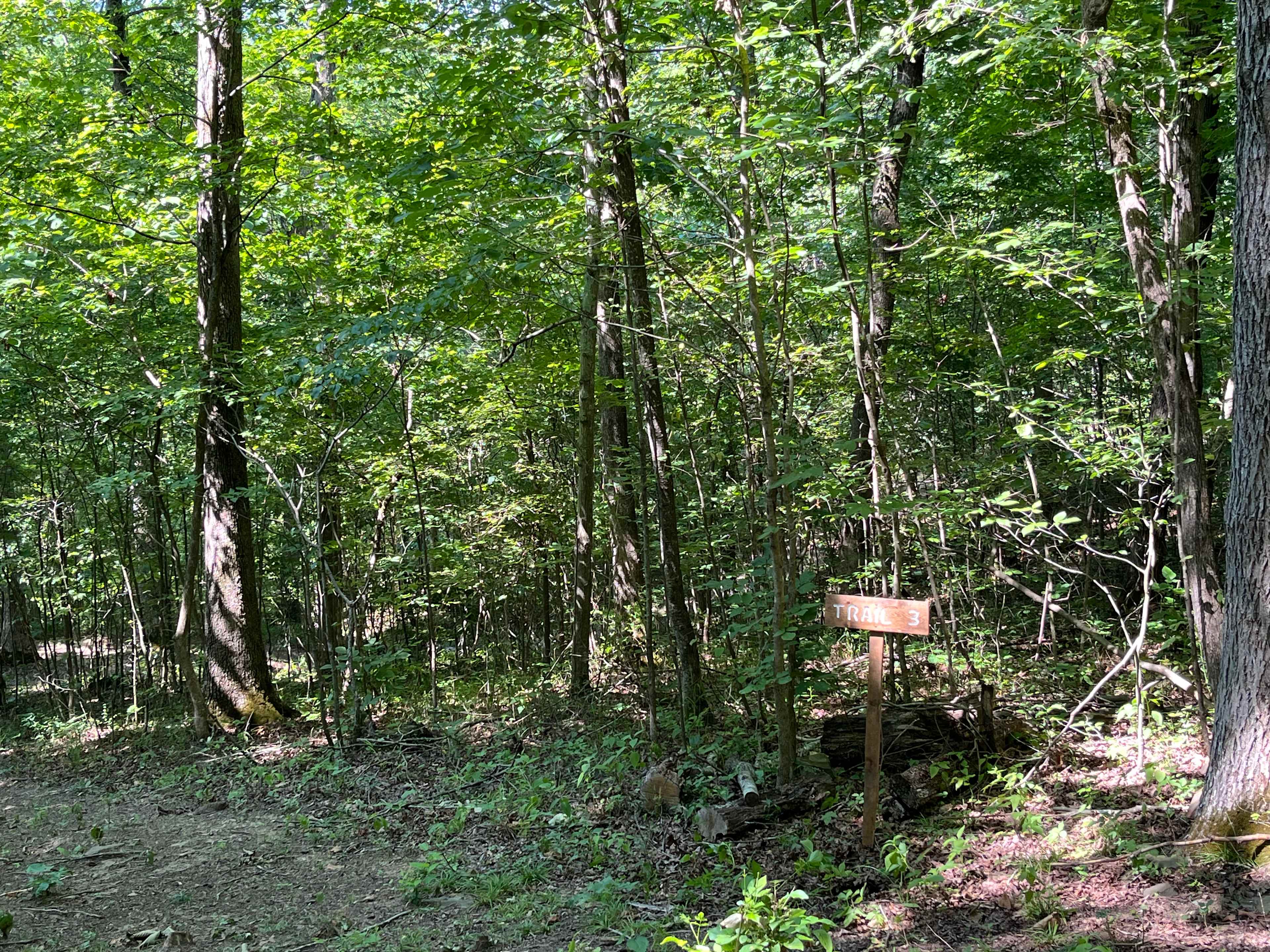 Hideaway Hills Primitive Camp