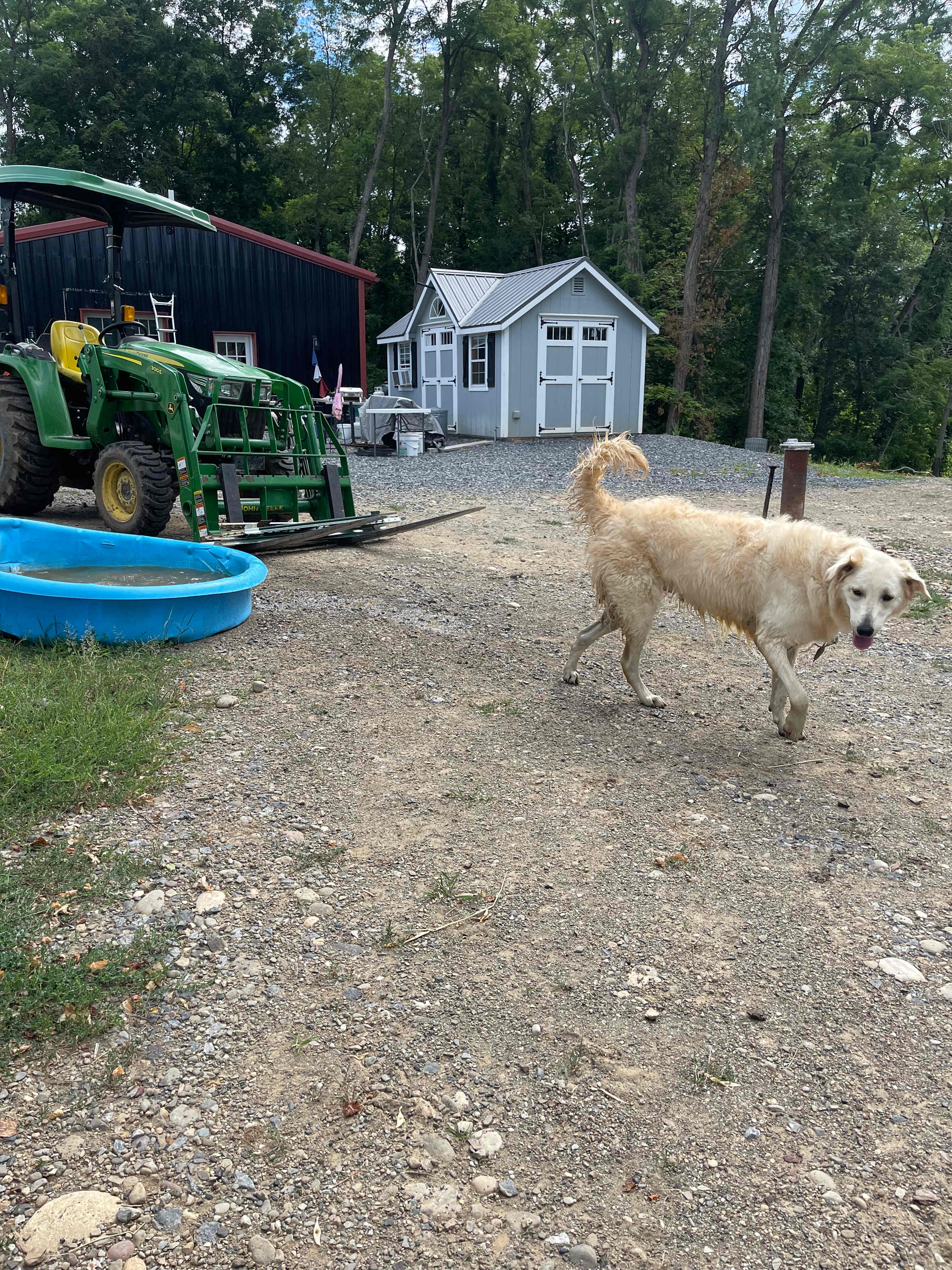 Liberty Farm On Turkey Hill