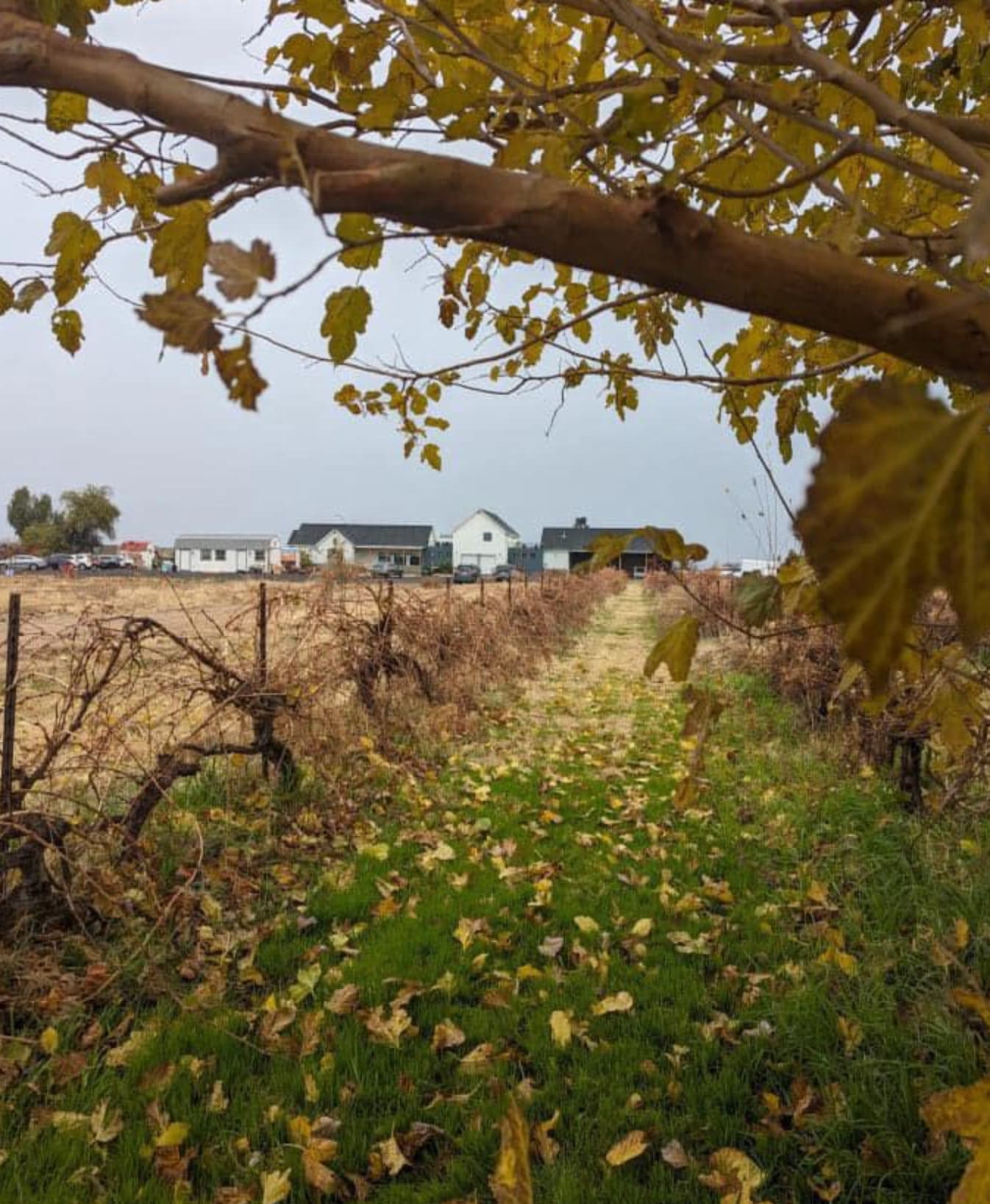 King and Queen Creek Farm