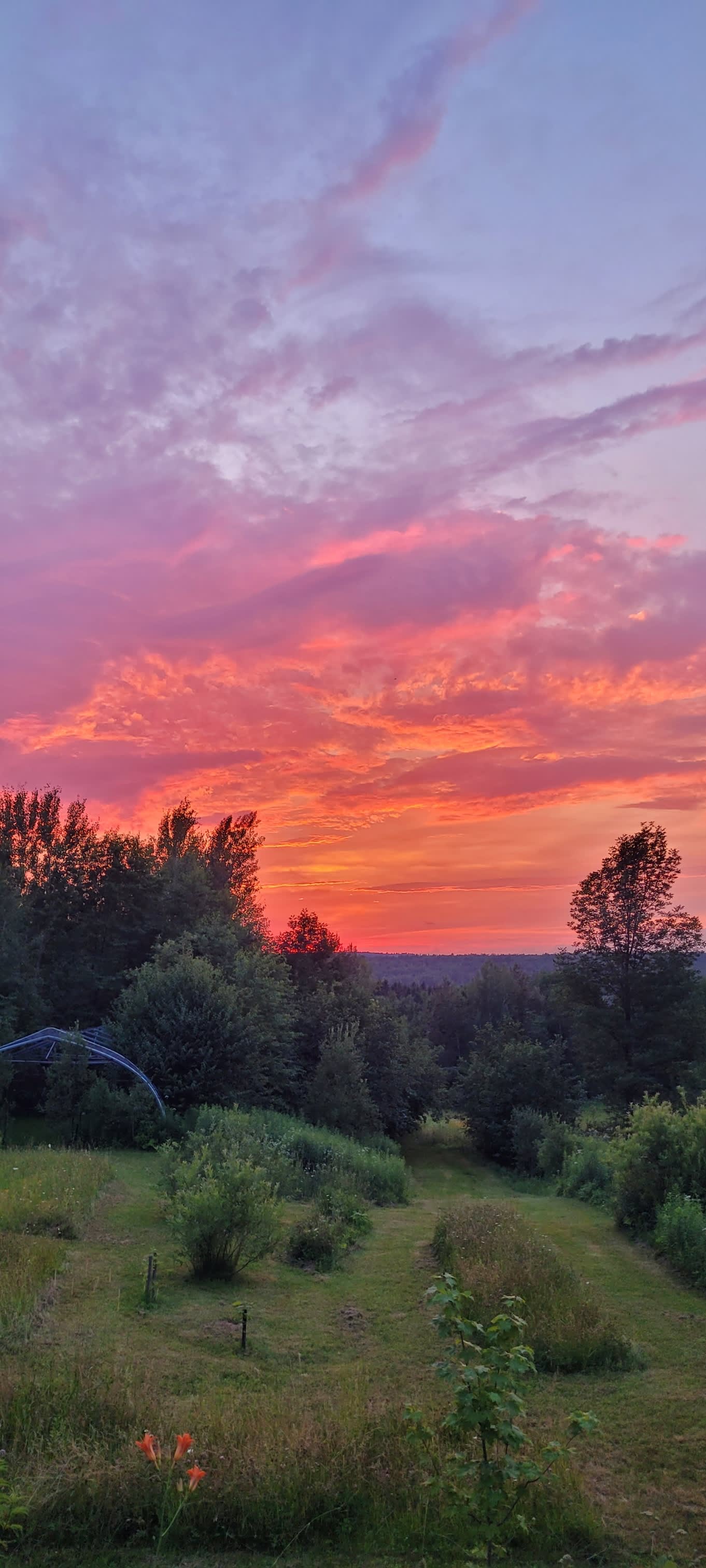 Purple Sunset