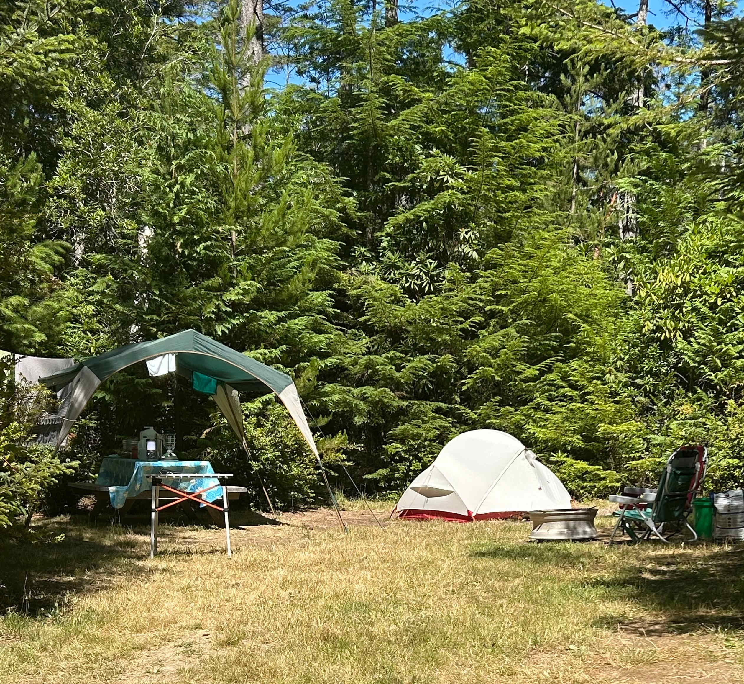 Picture of the site