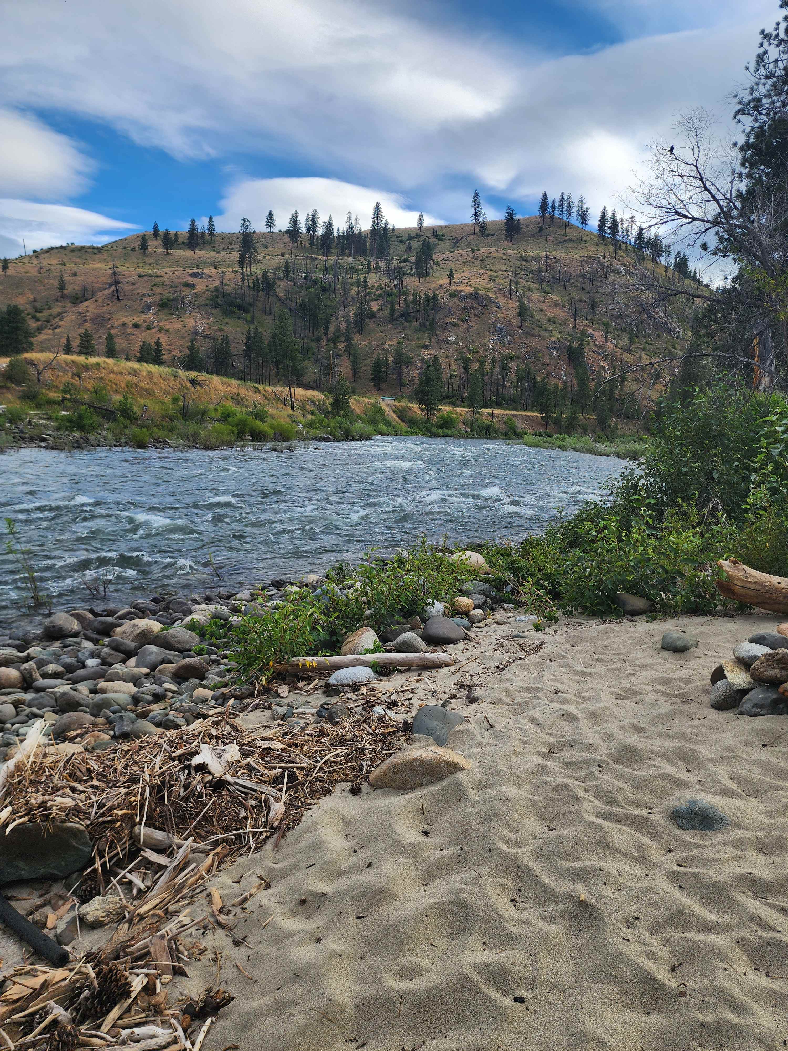 Picture of the site