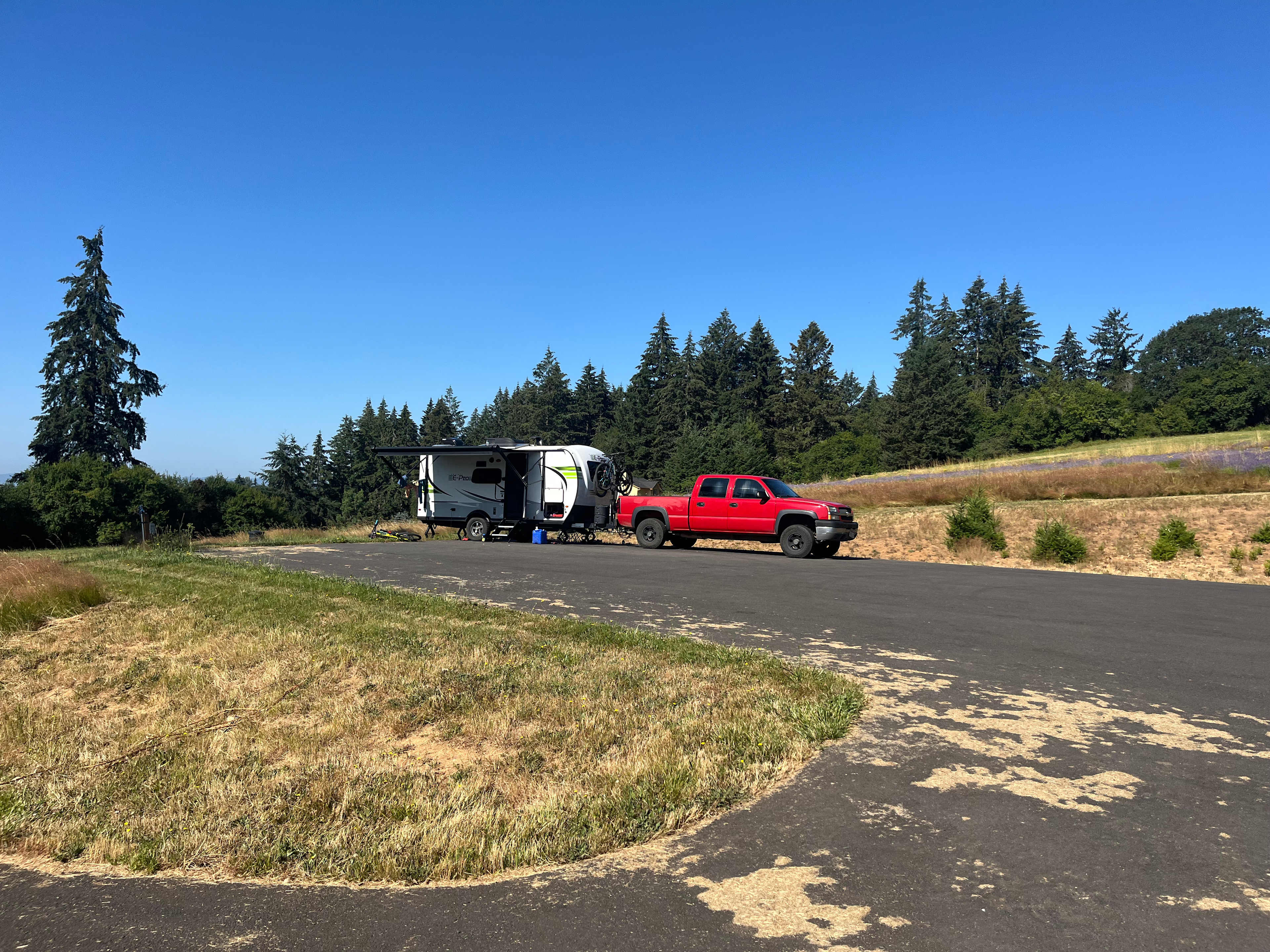 Picture of the site