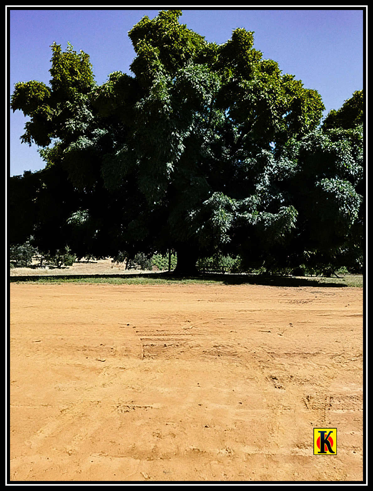 Kirkland Ranch