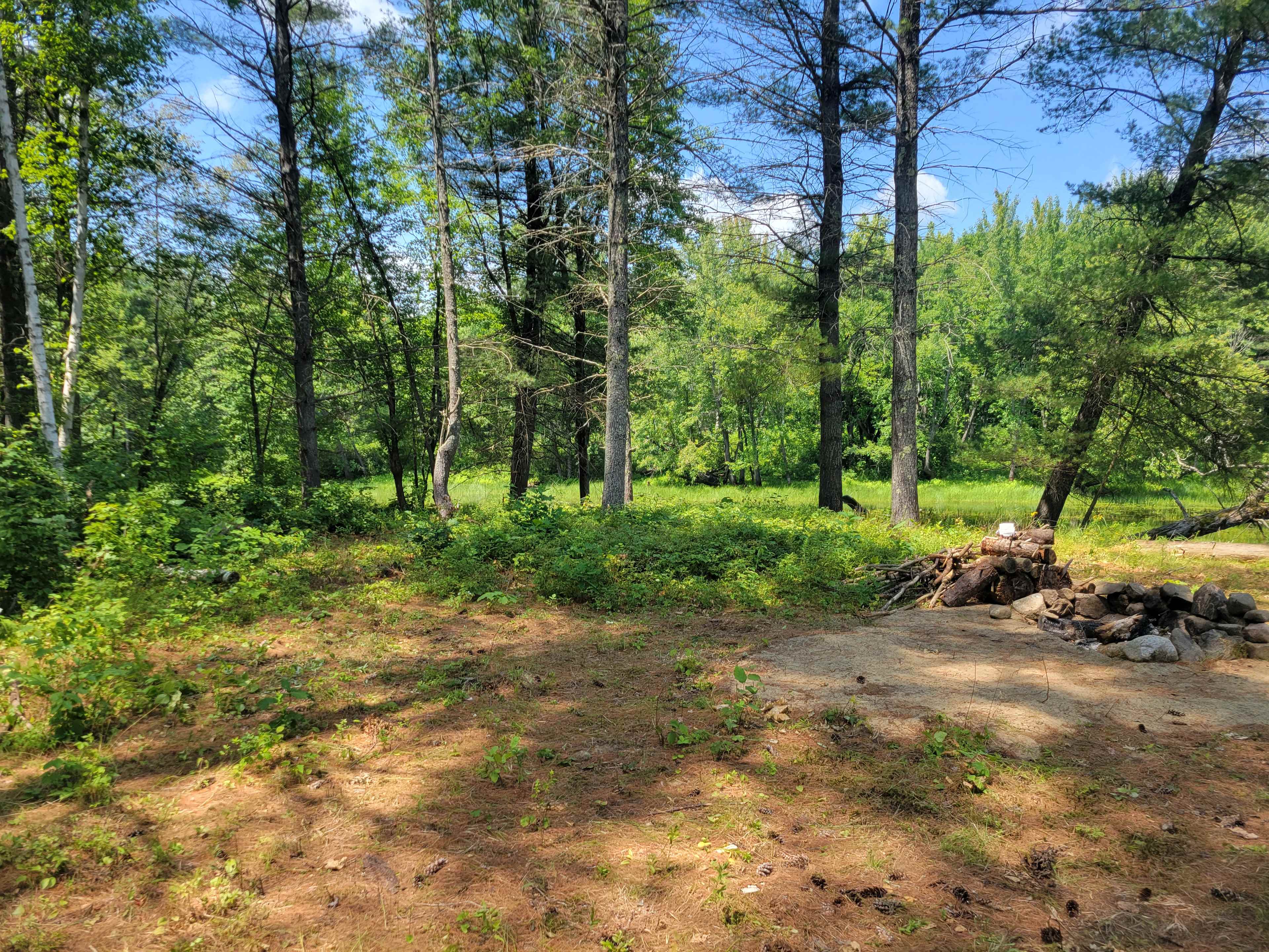 Woodland Revive Homestead