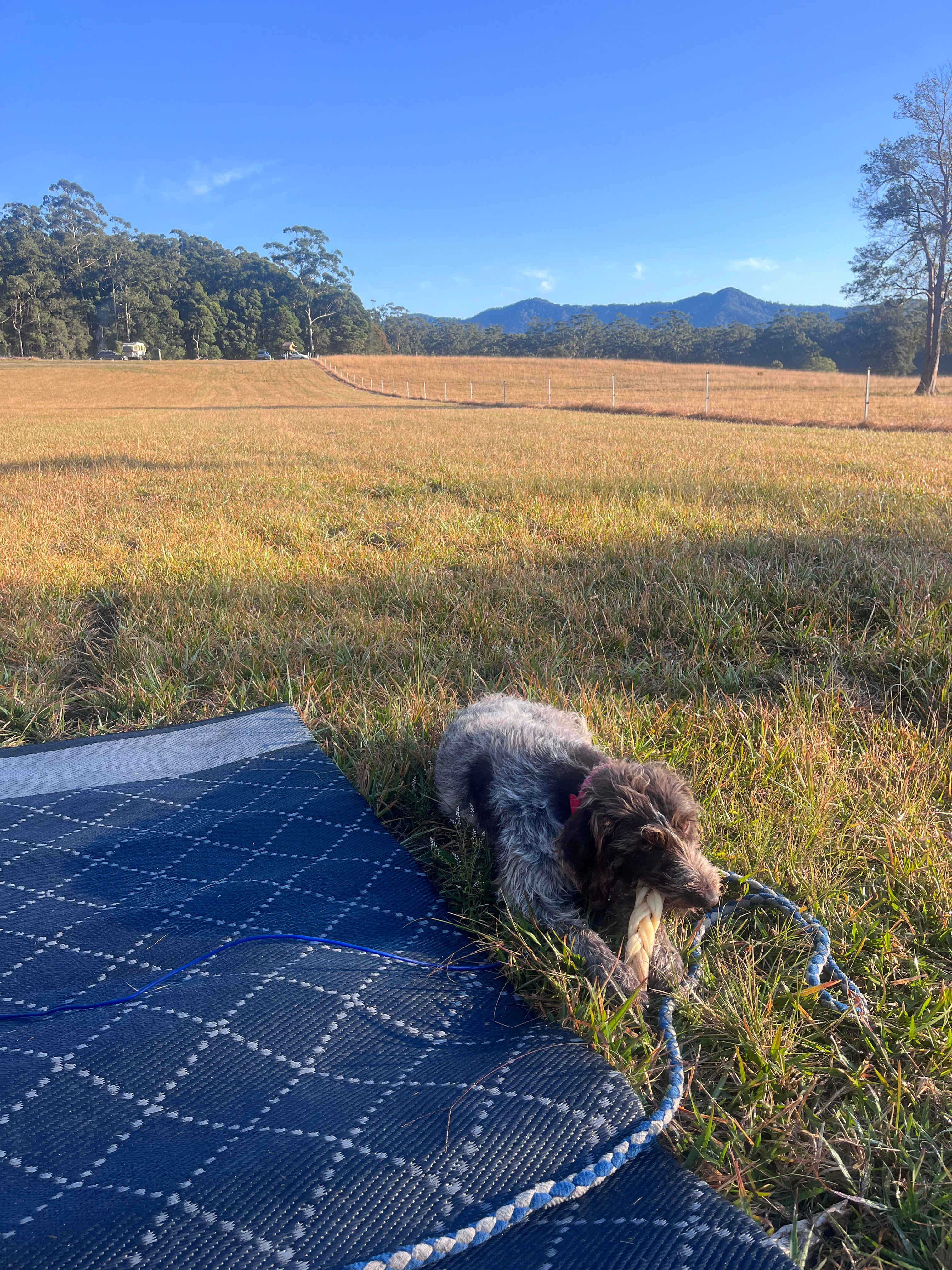 Bonville Camp Ground