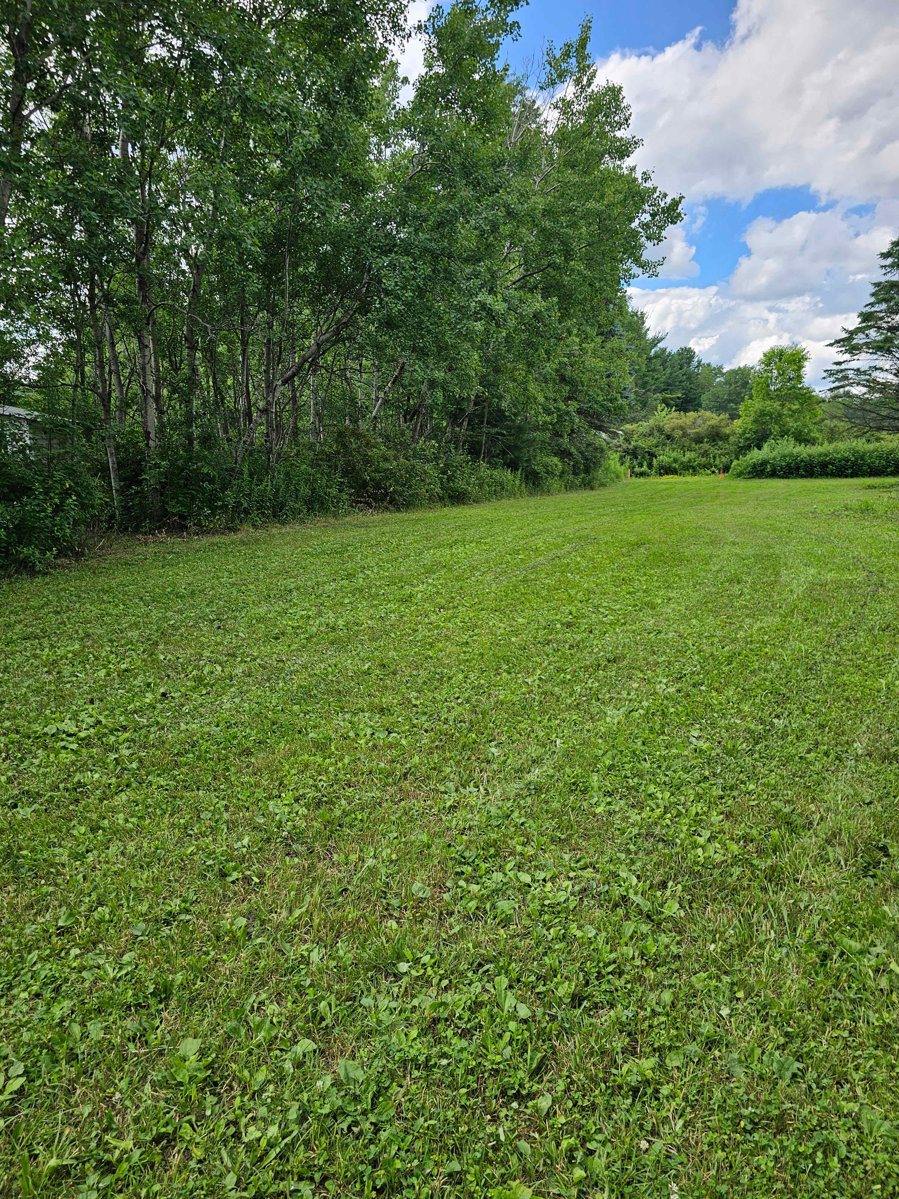 straight view