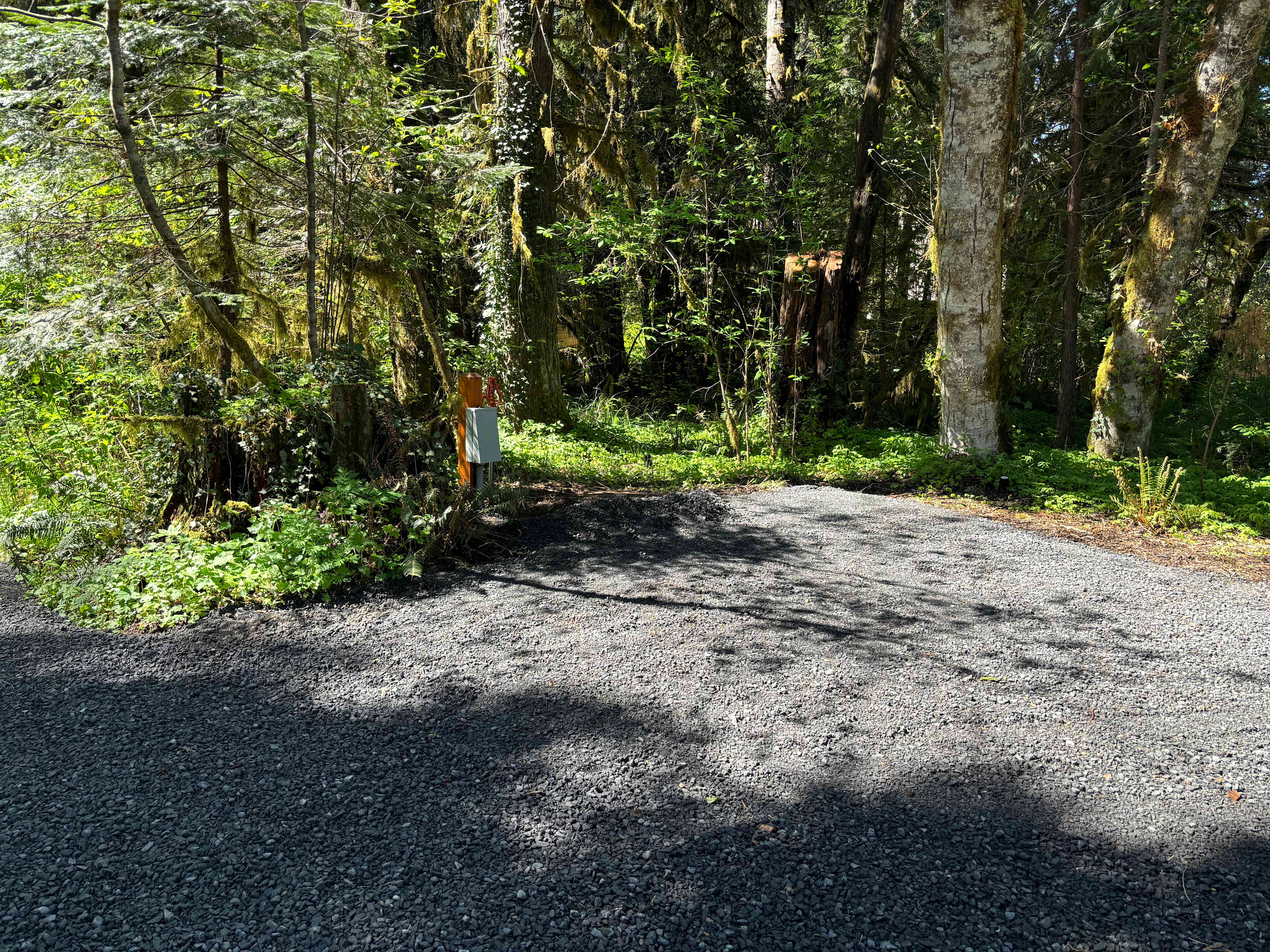 McKenzie River Spot in Rainbow
