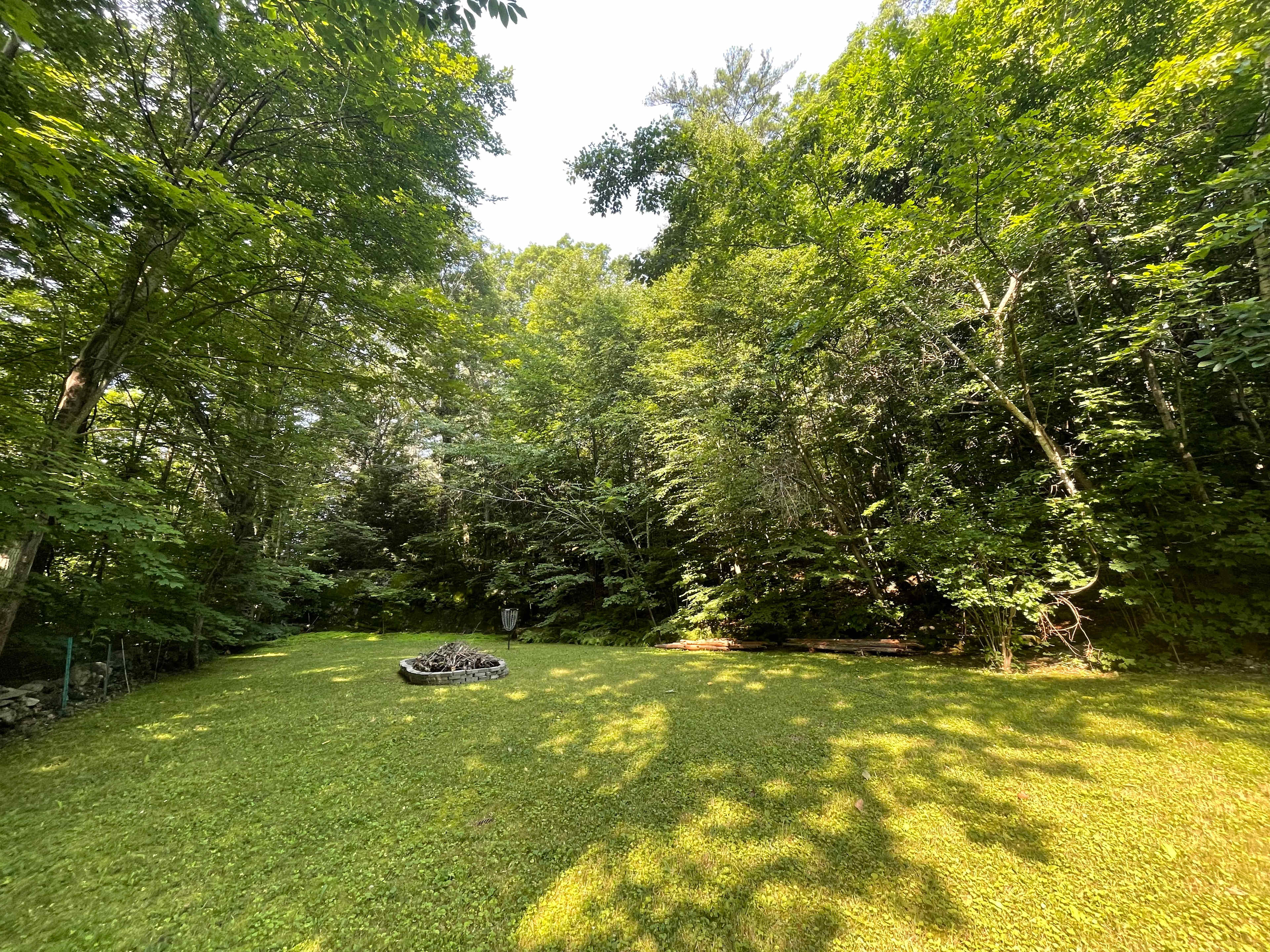 Secluded Moss Haven