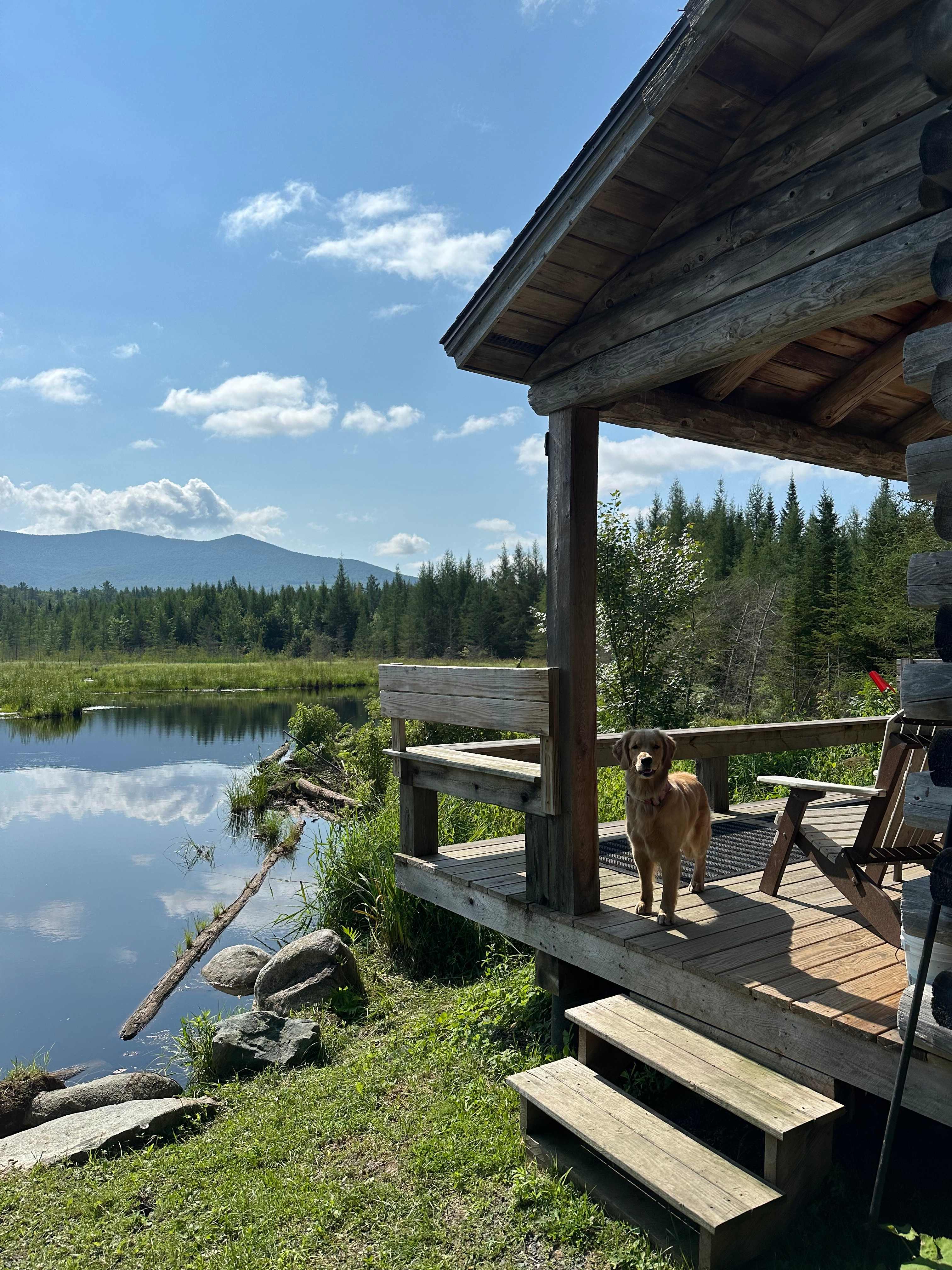 Harmony Mountain Farm
