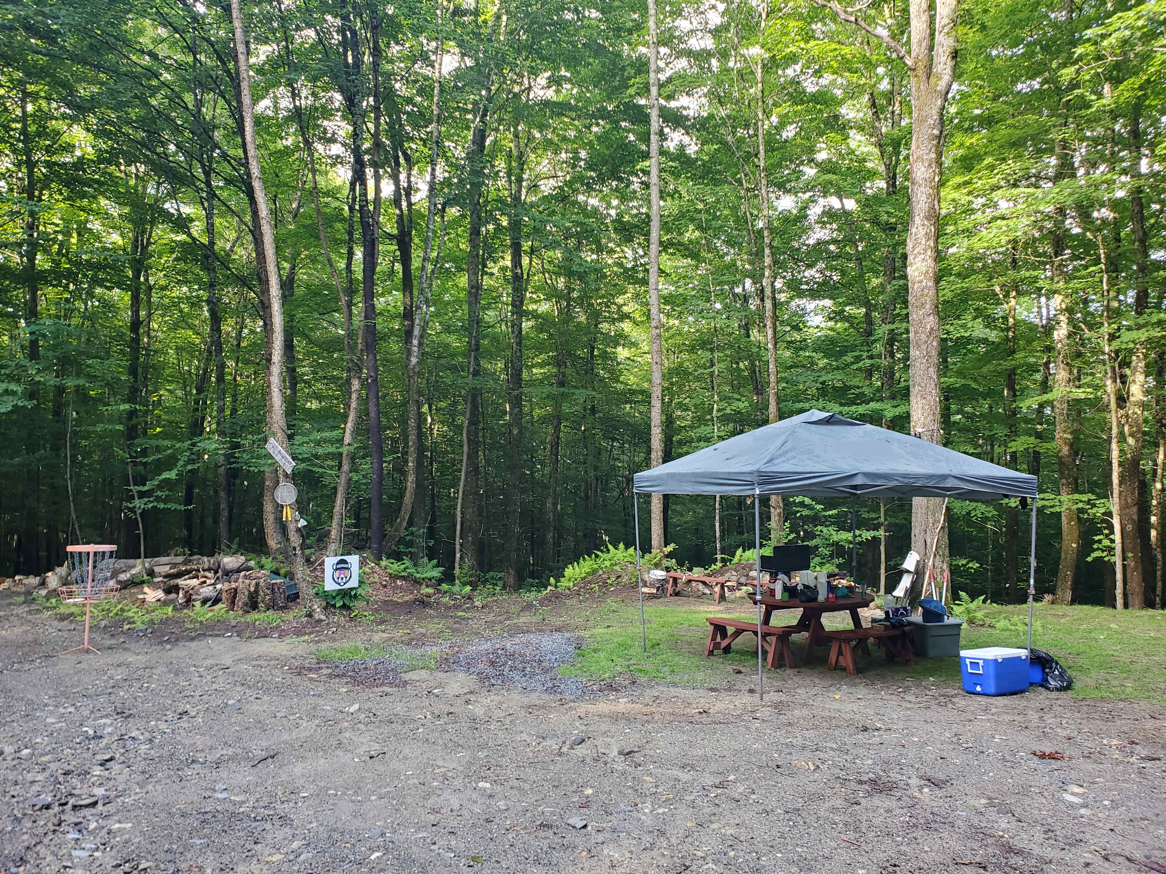 Wendy’s Woods on the Kingdom Trails