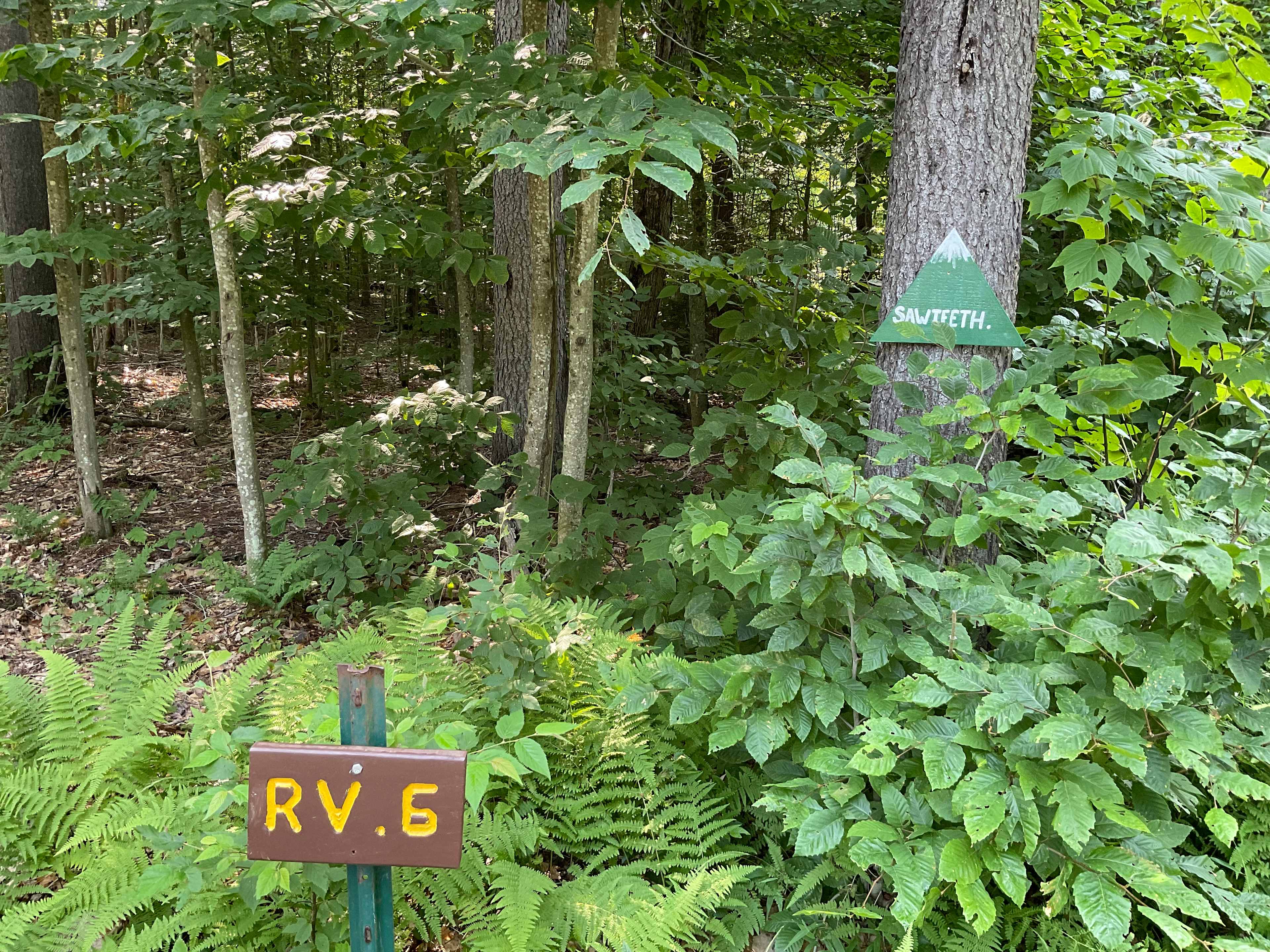 Mountaineer Campground @Massawepie