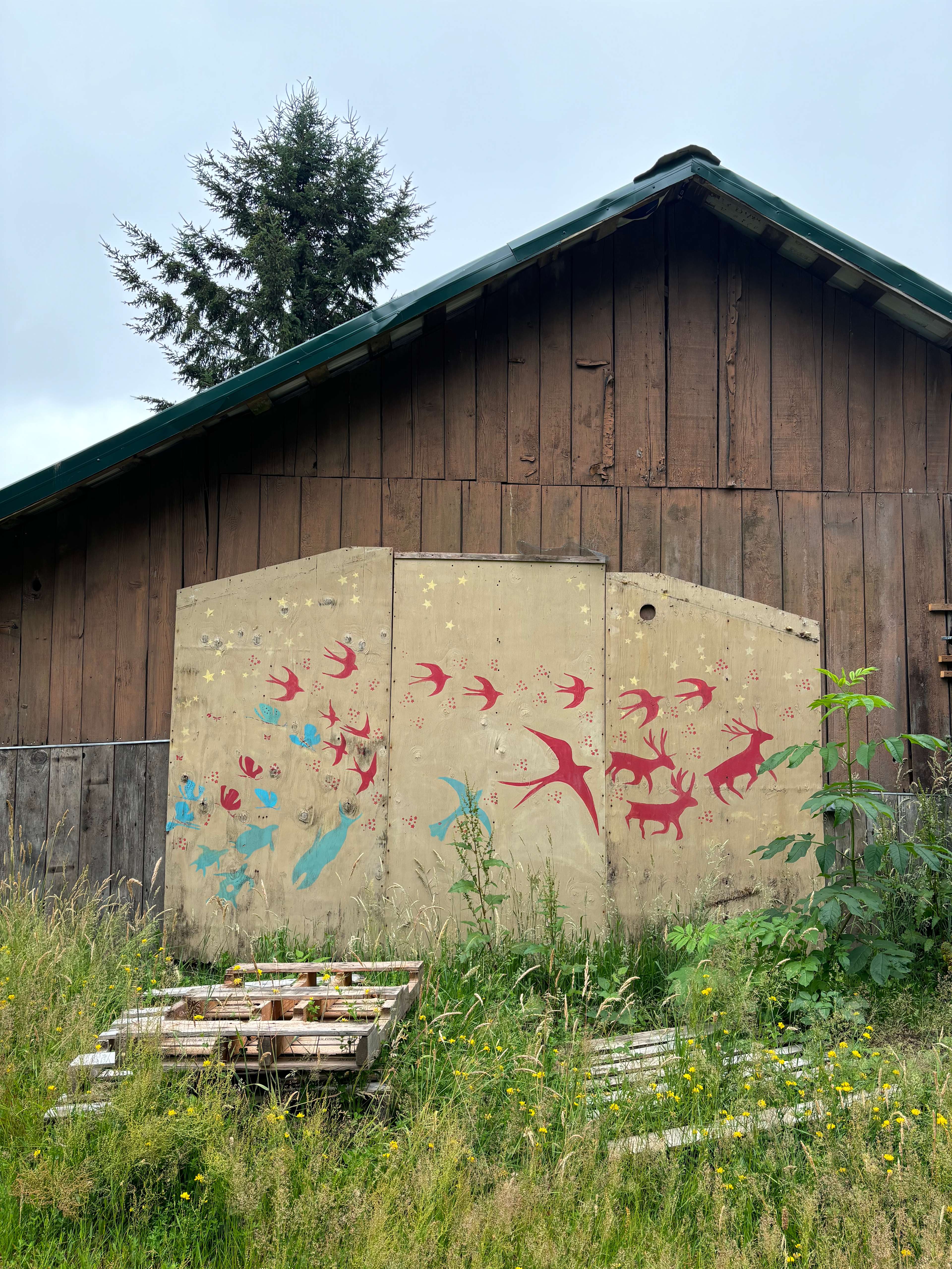 Picture of the site