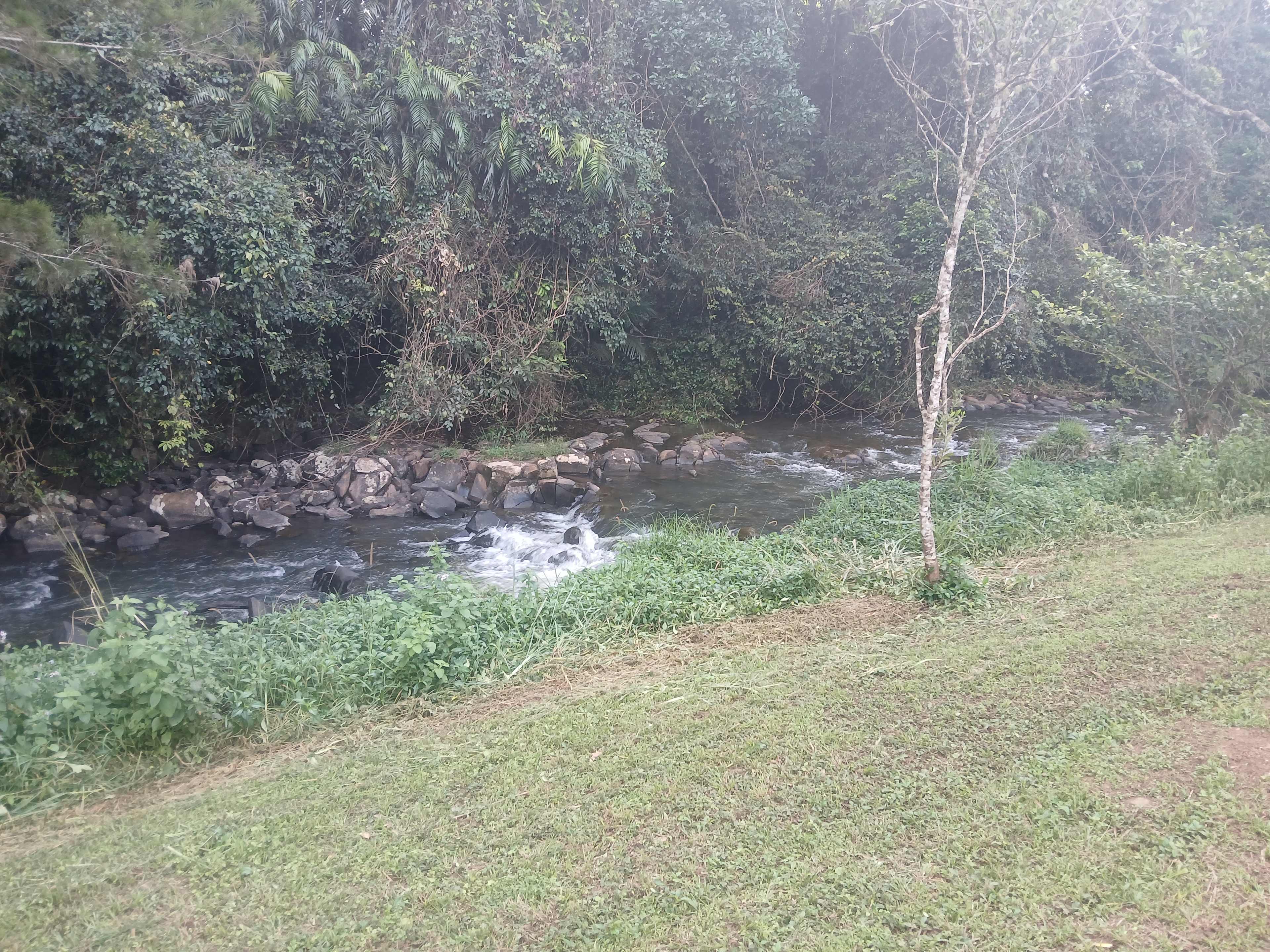 Malanda Stream Private Camping.