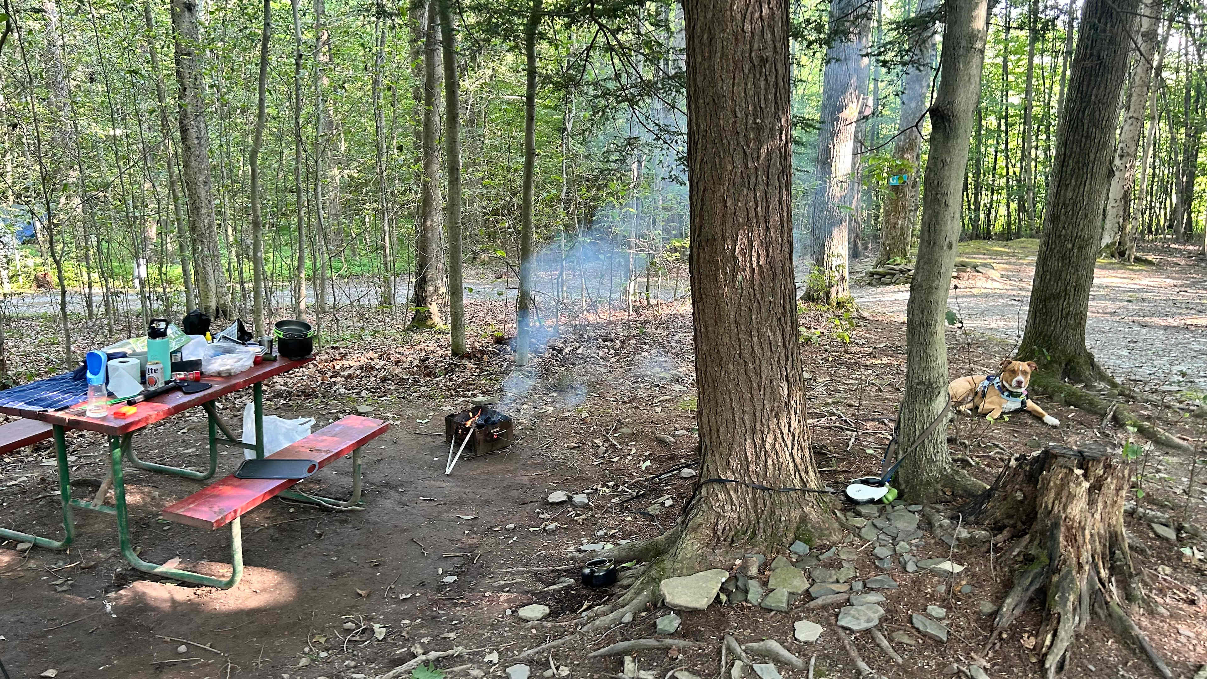 Picture of the site