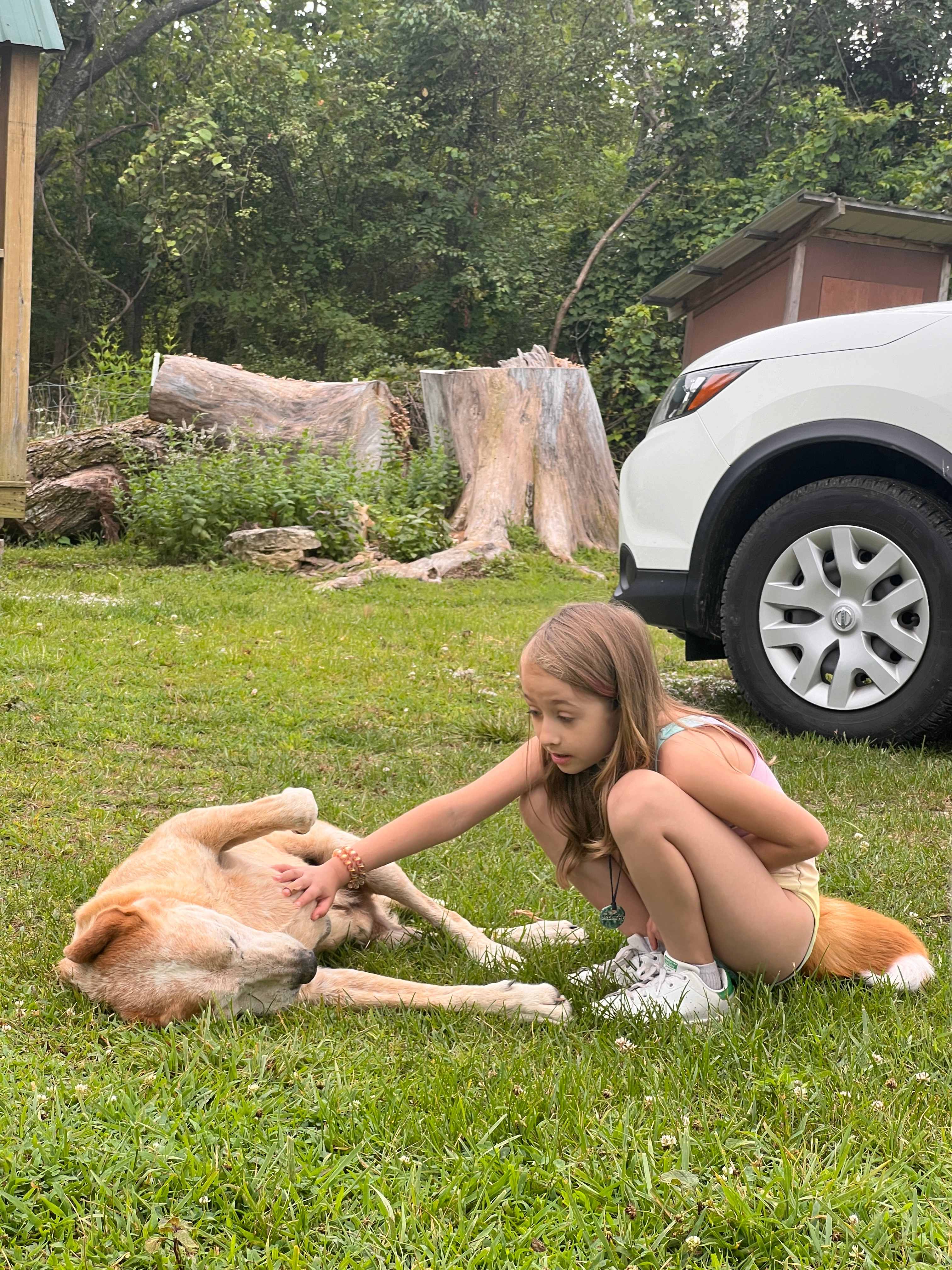 Explore the Ozarks - Dockley Ranch