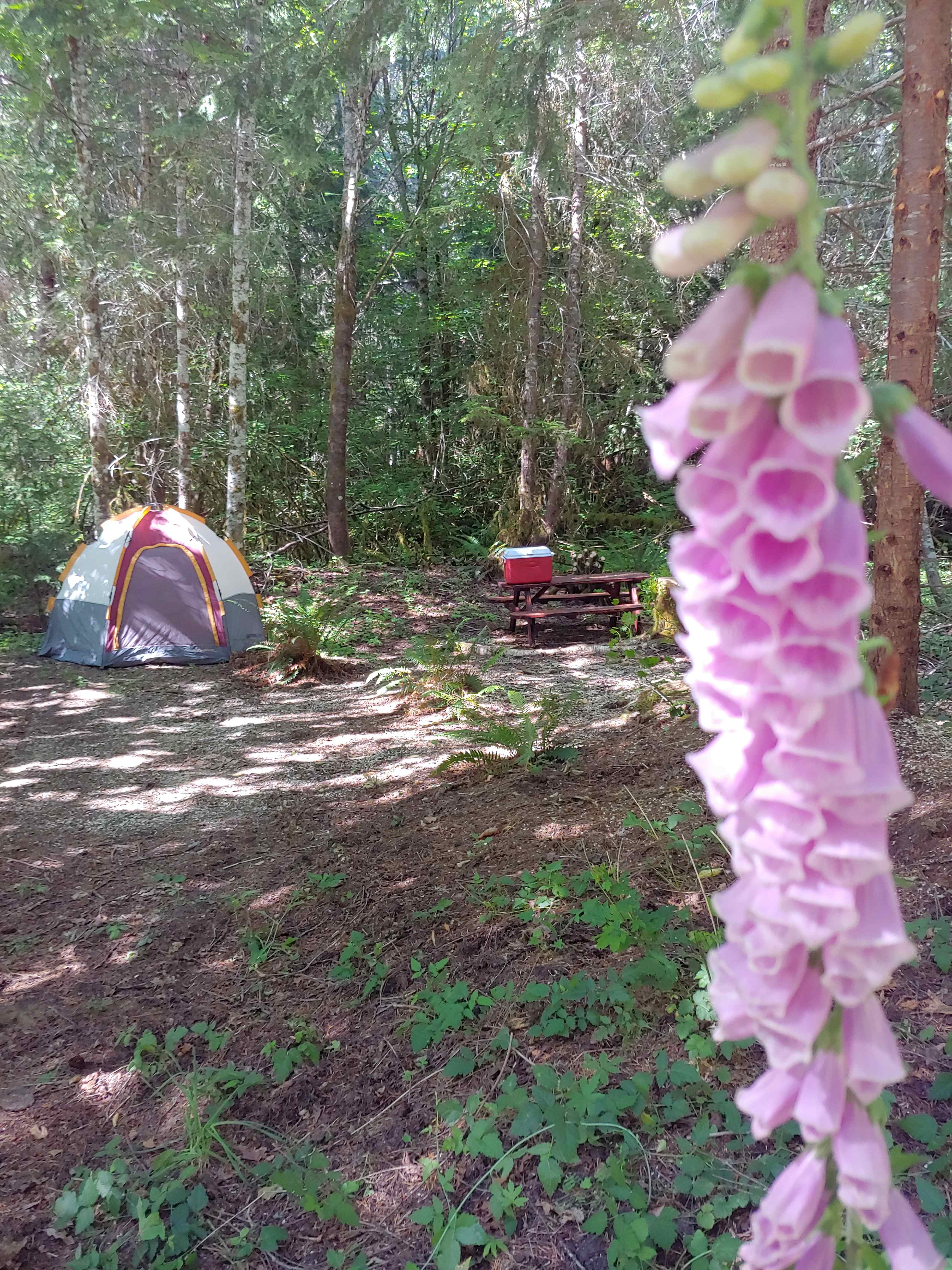 MTN View Manor Campgrounds