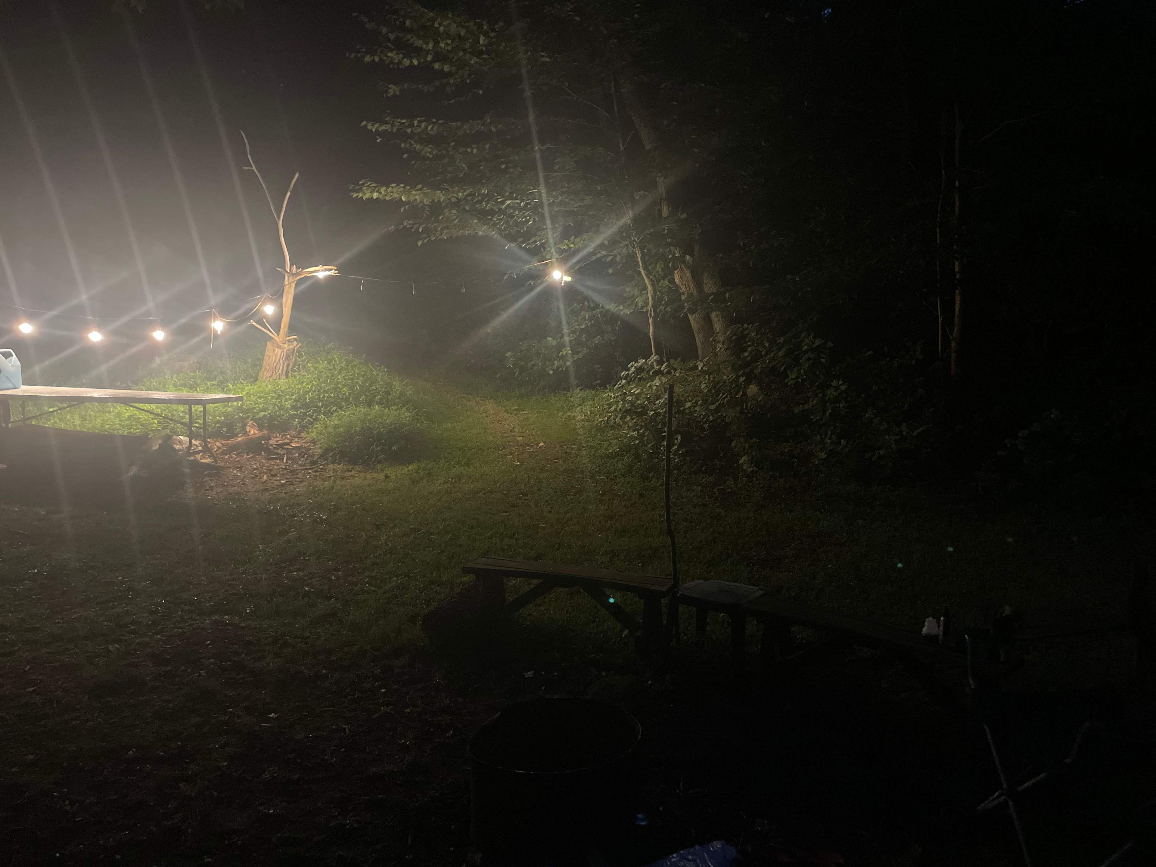 Pinnacle Orchard