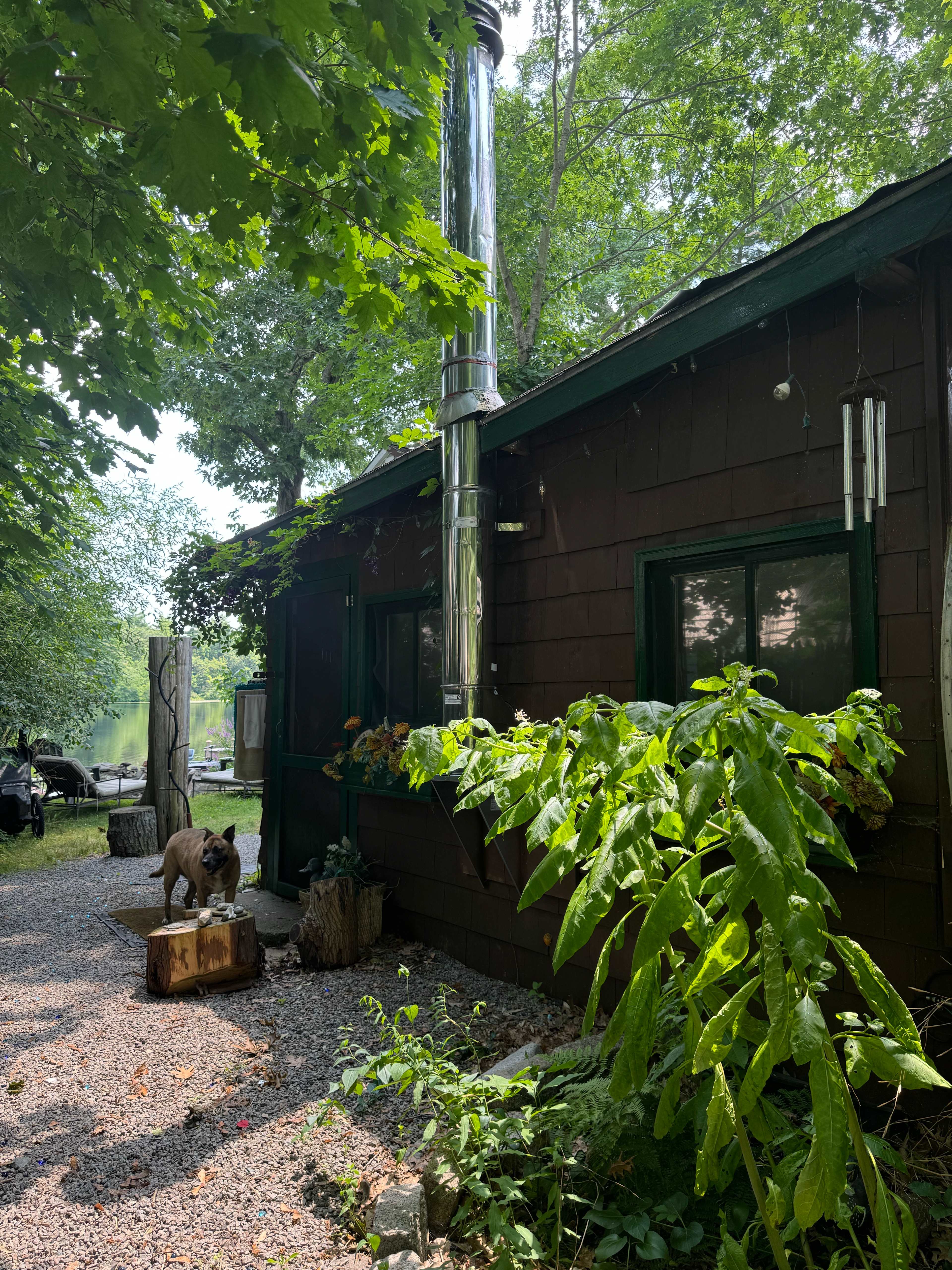 Vintage camper, wifi & firepit