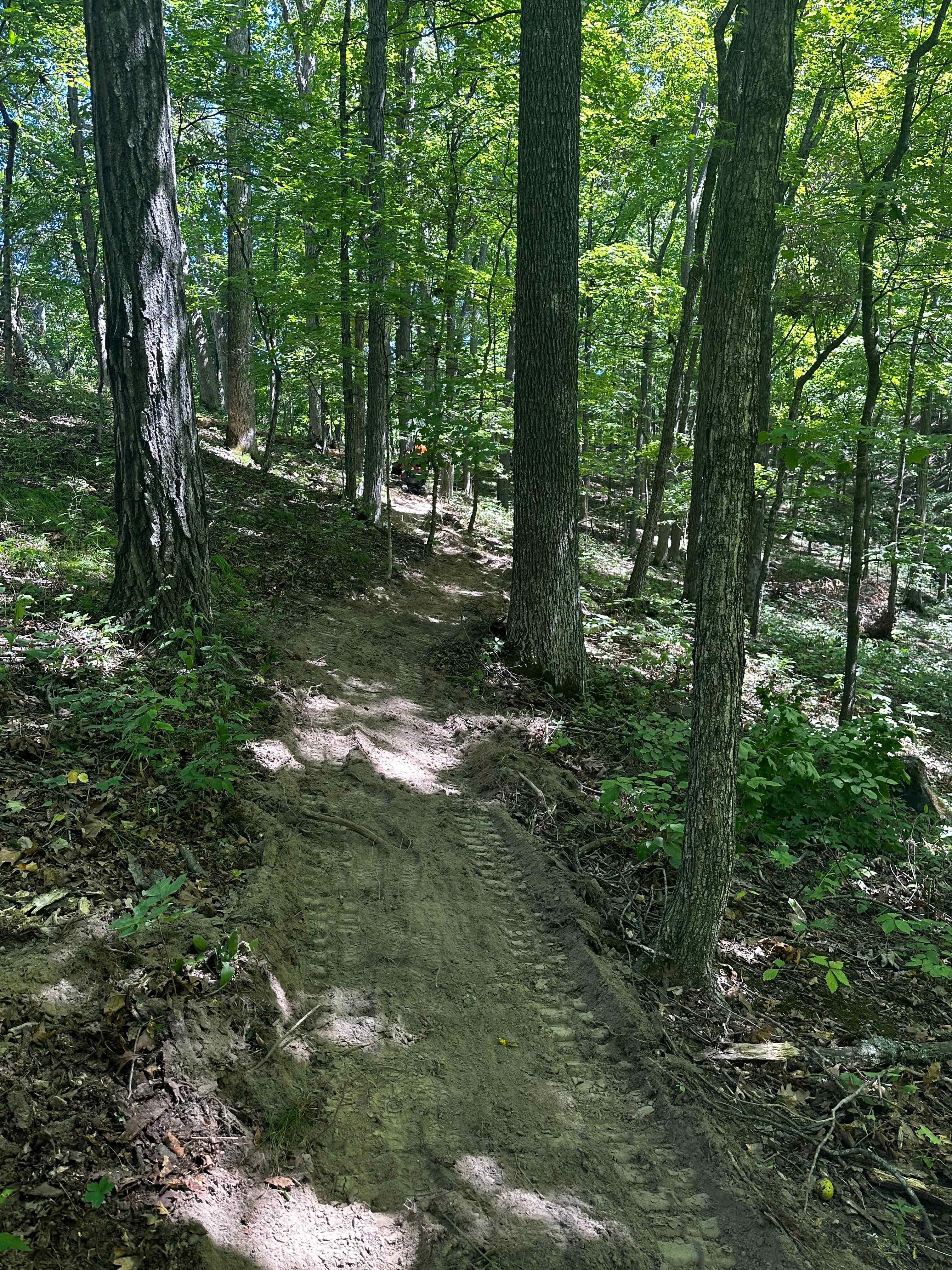 Willenborg Woods