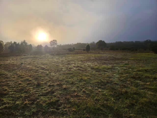 Frosty mornings out at Tulley's Corner