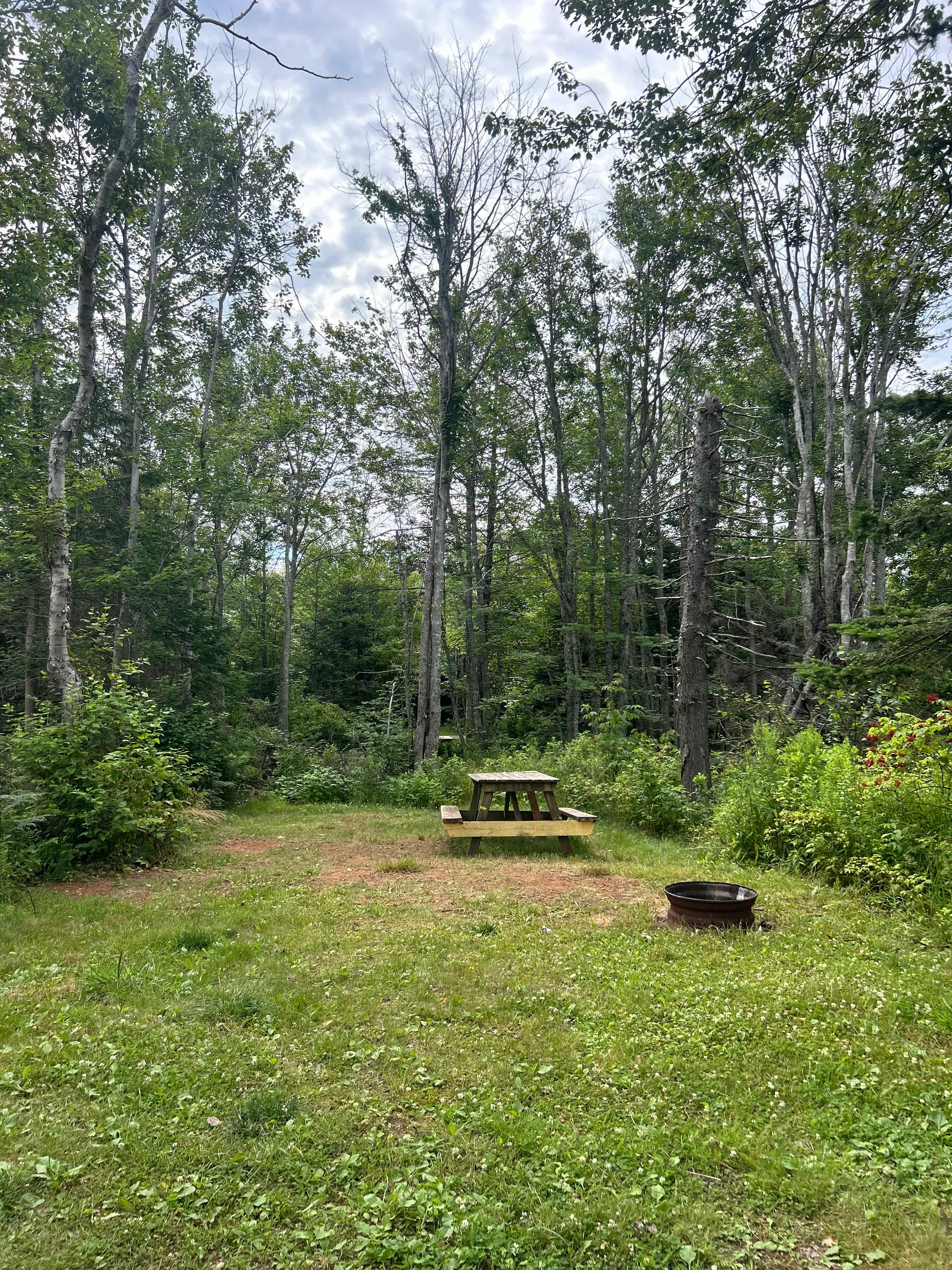 Tranquility Camping & Cottages