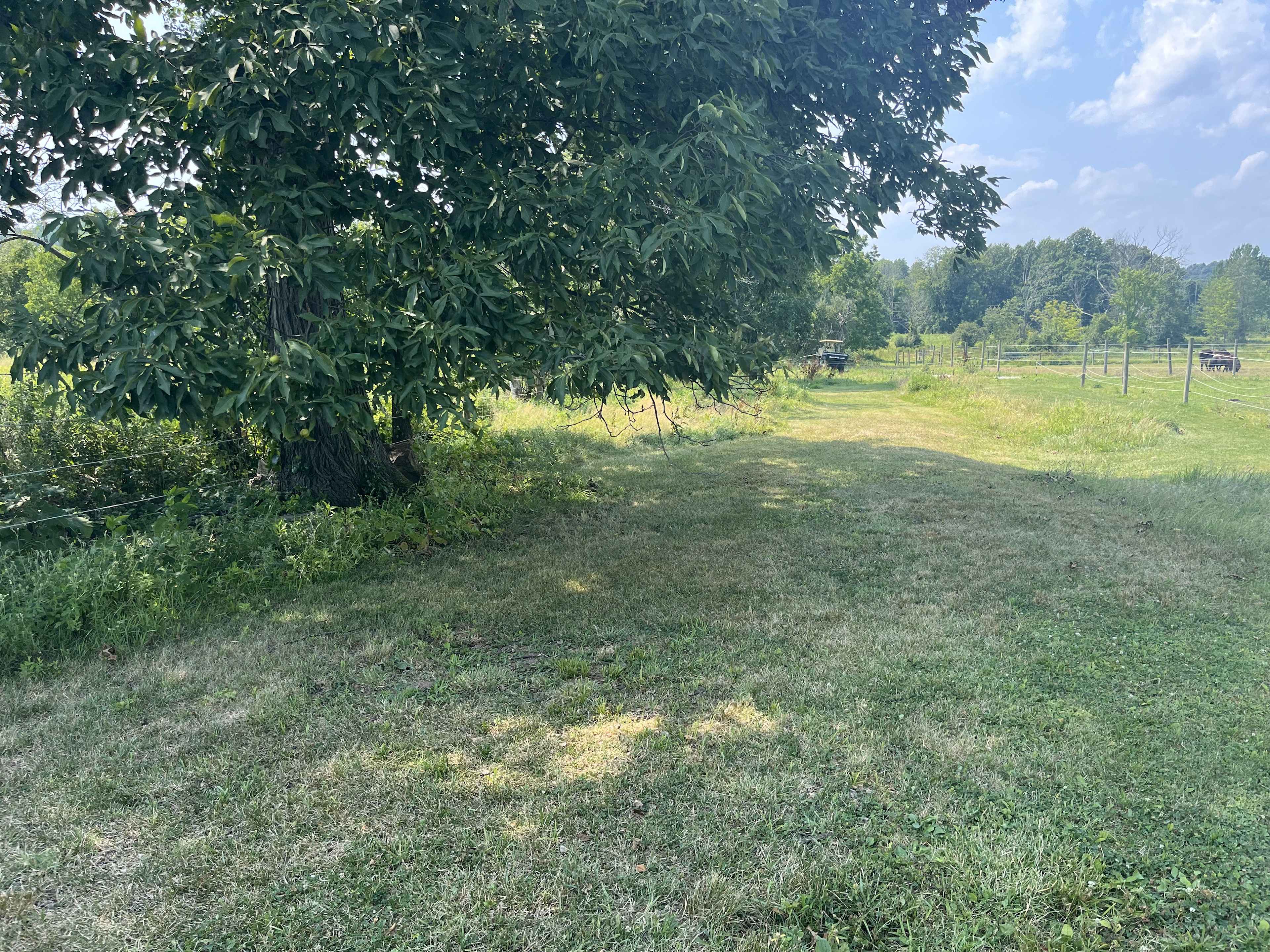 Peaceful Horse Farm