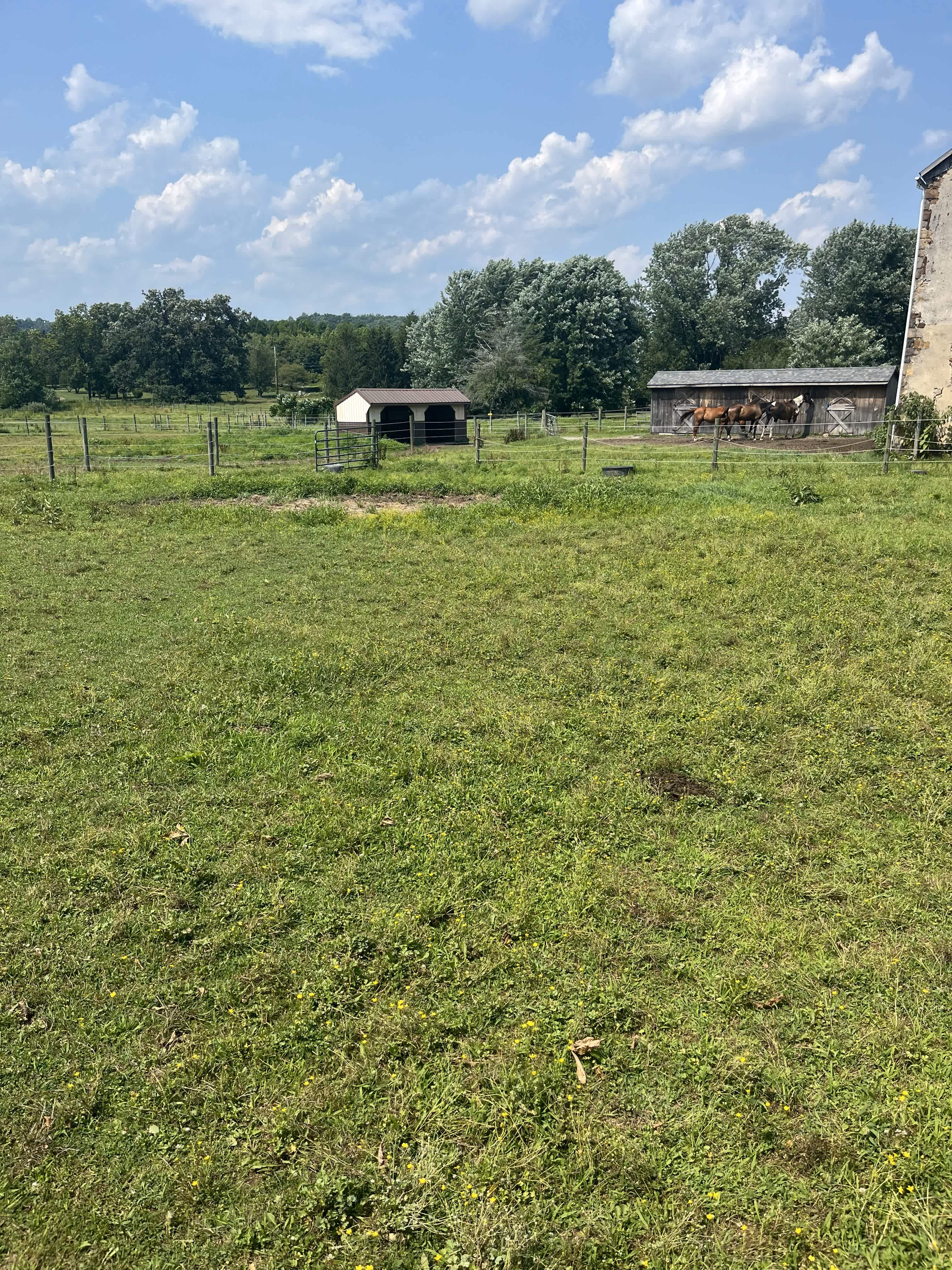 Peaceful Horse Farm