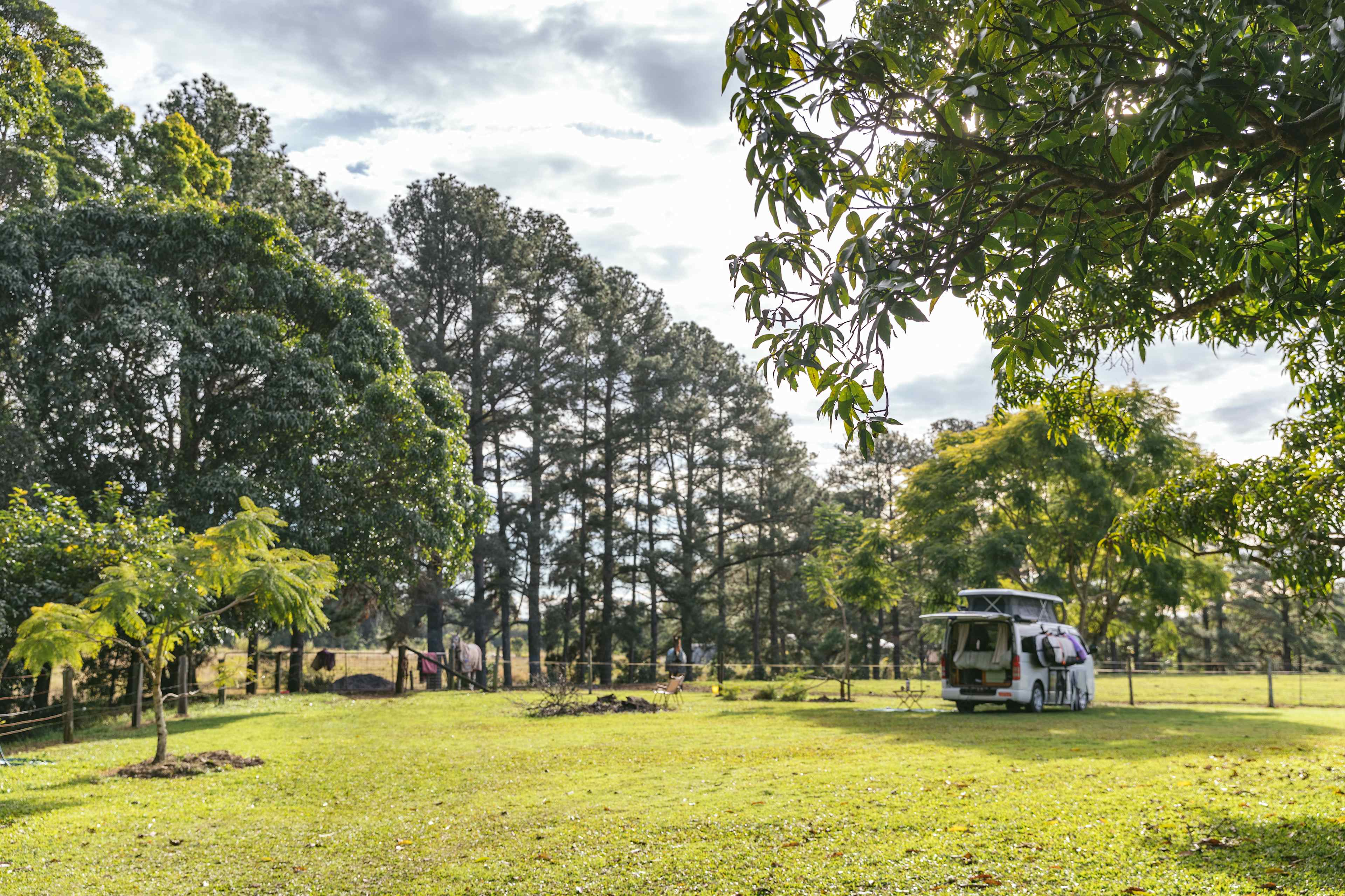 Palmwoods Horse / Farm Camping