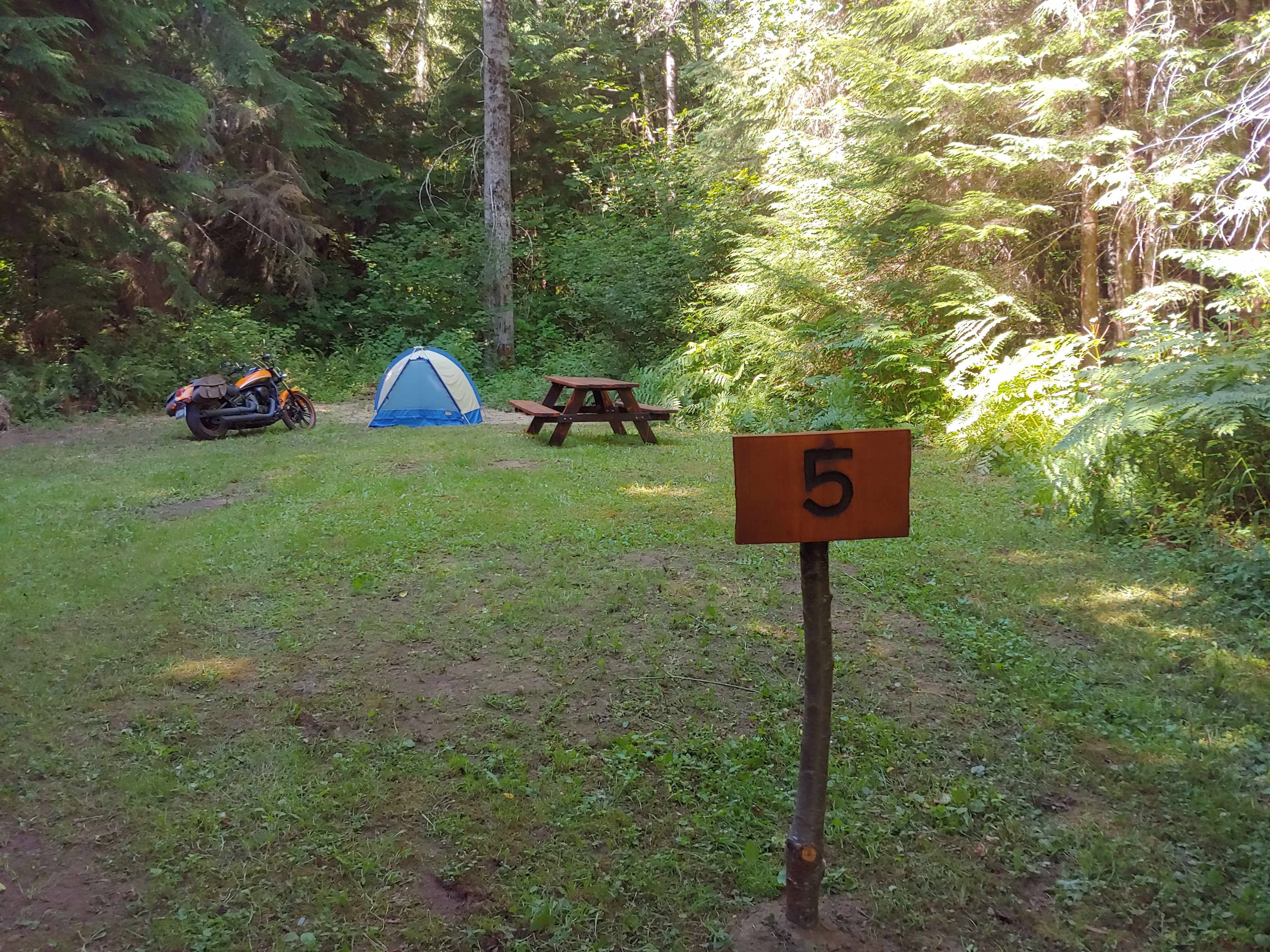 Picture of the site