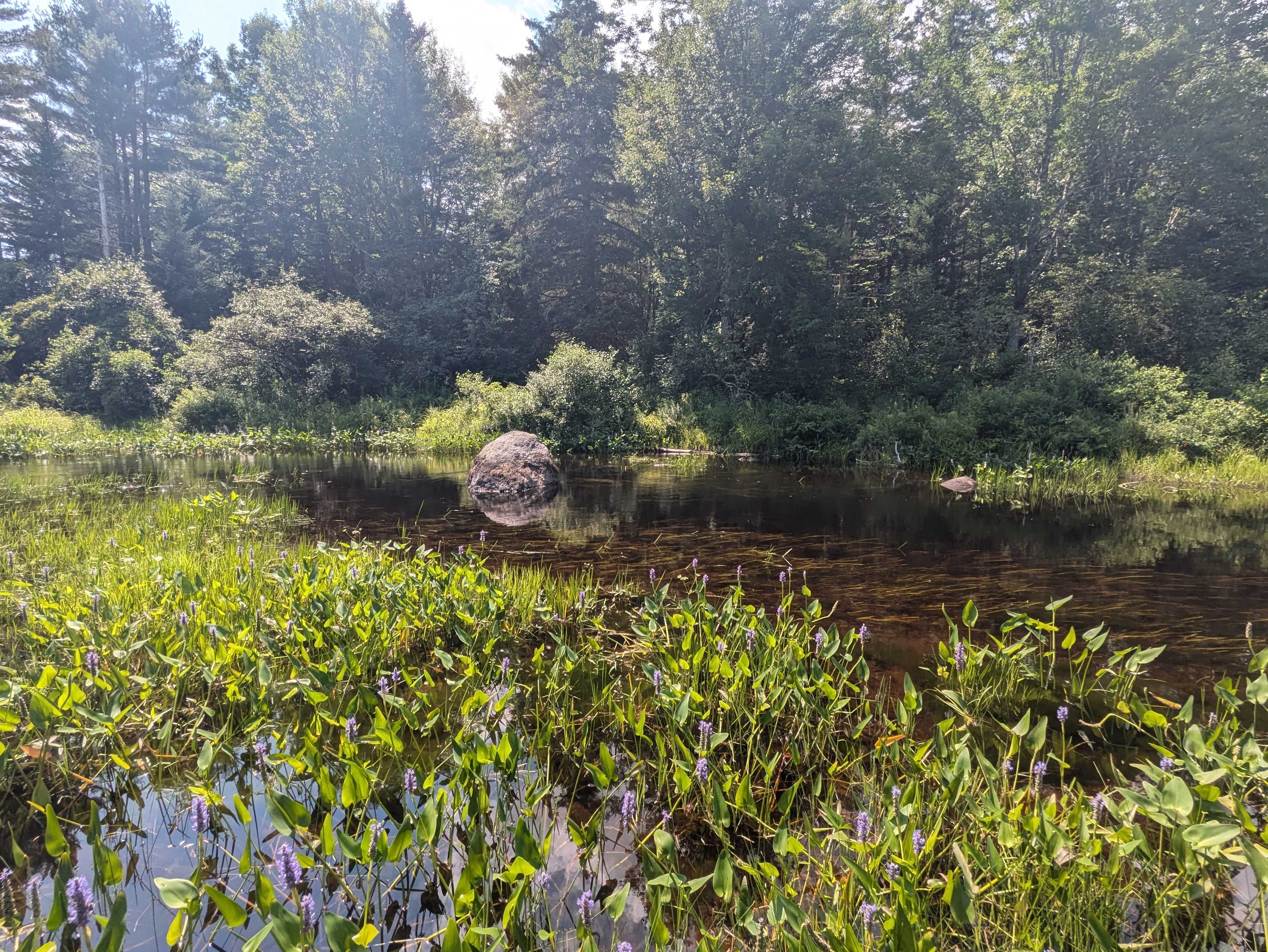 Graham Cracker Cabin and Campsites