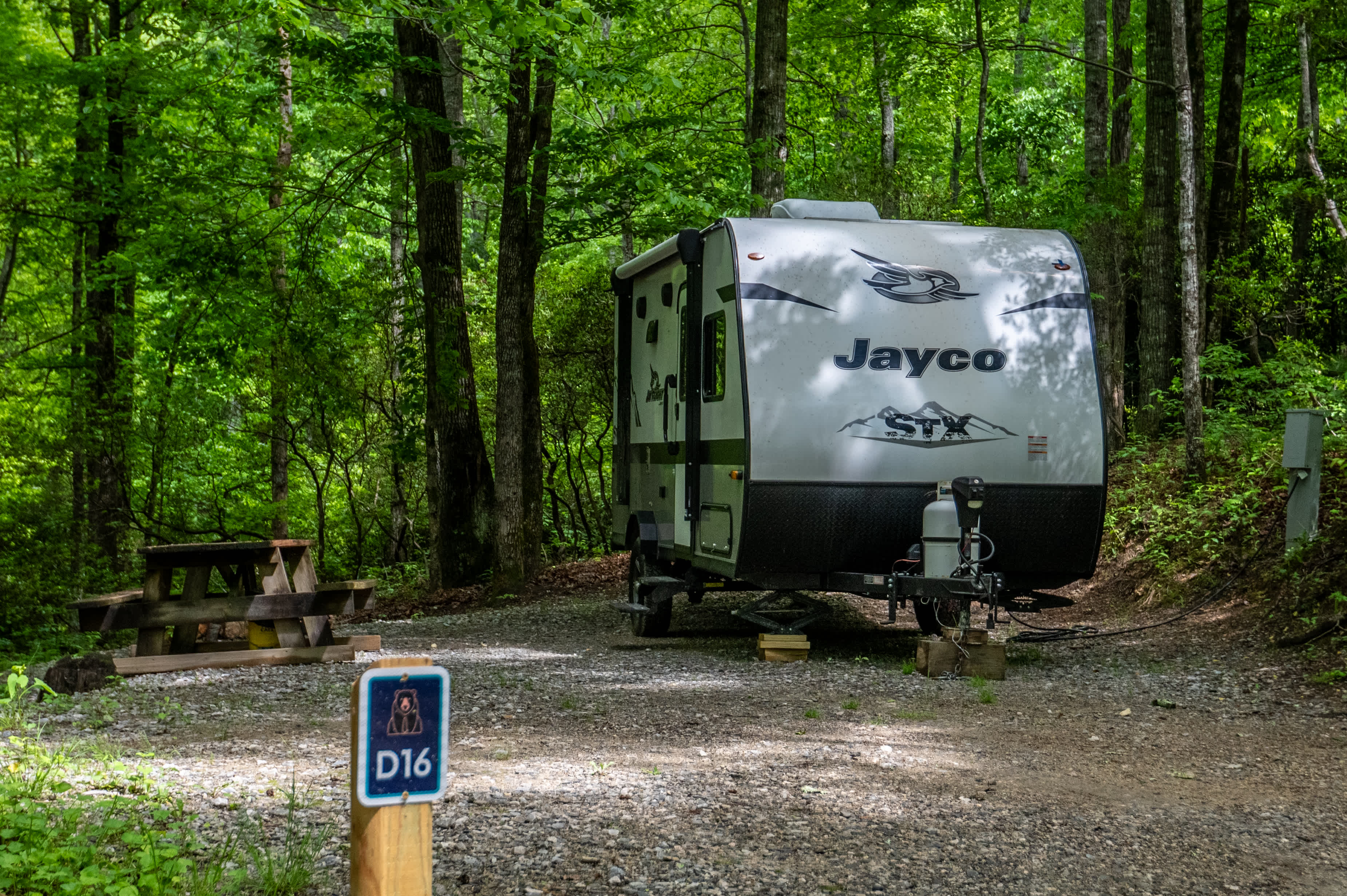 Spacious Skies Bear Den - RV/Tent Sites