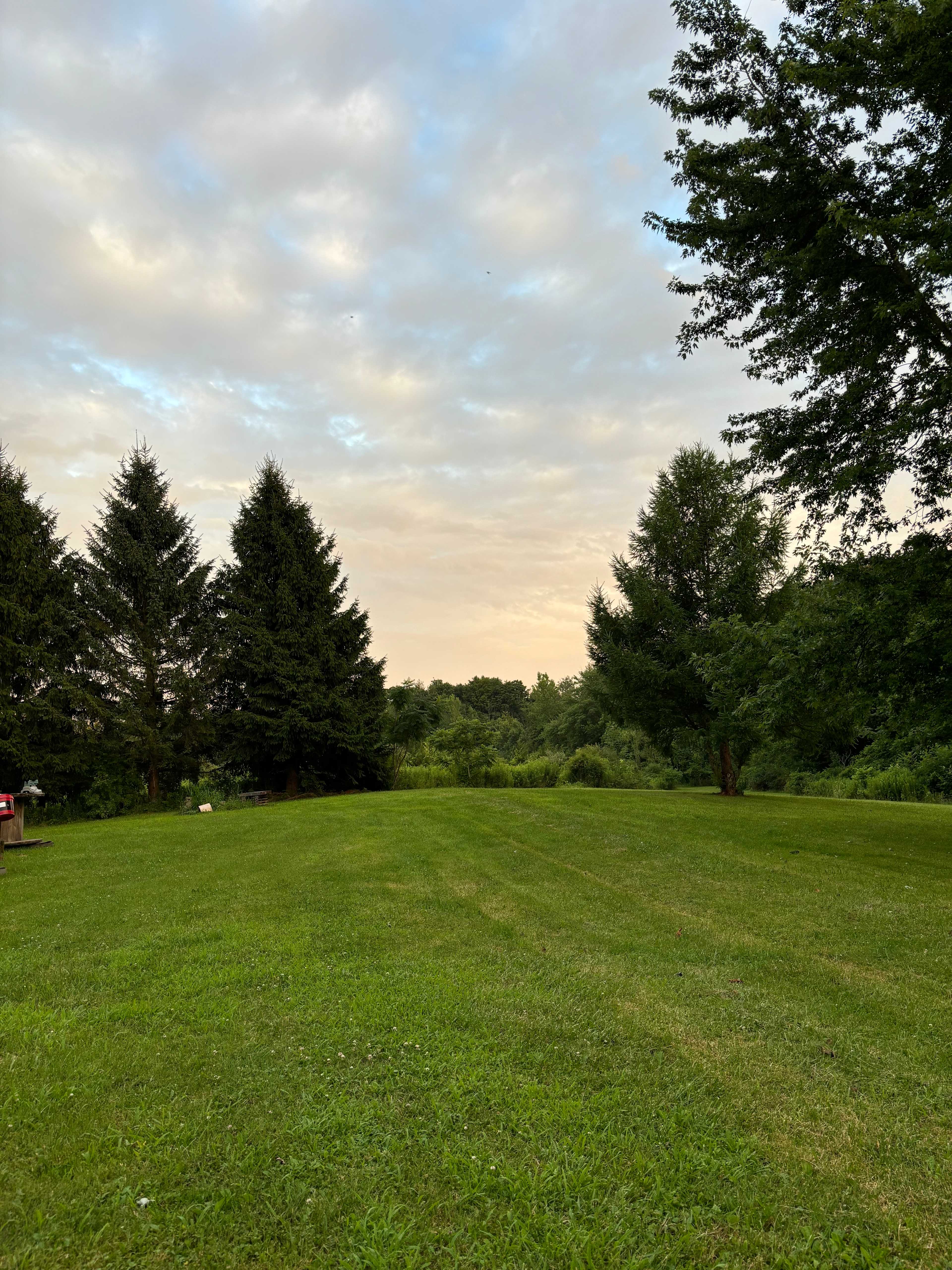 Daniels Manor