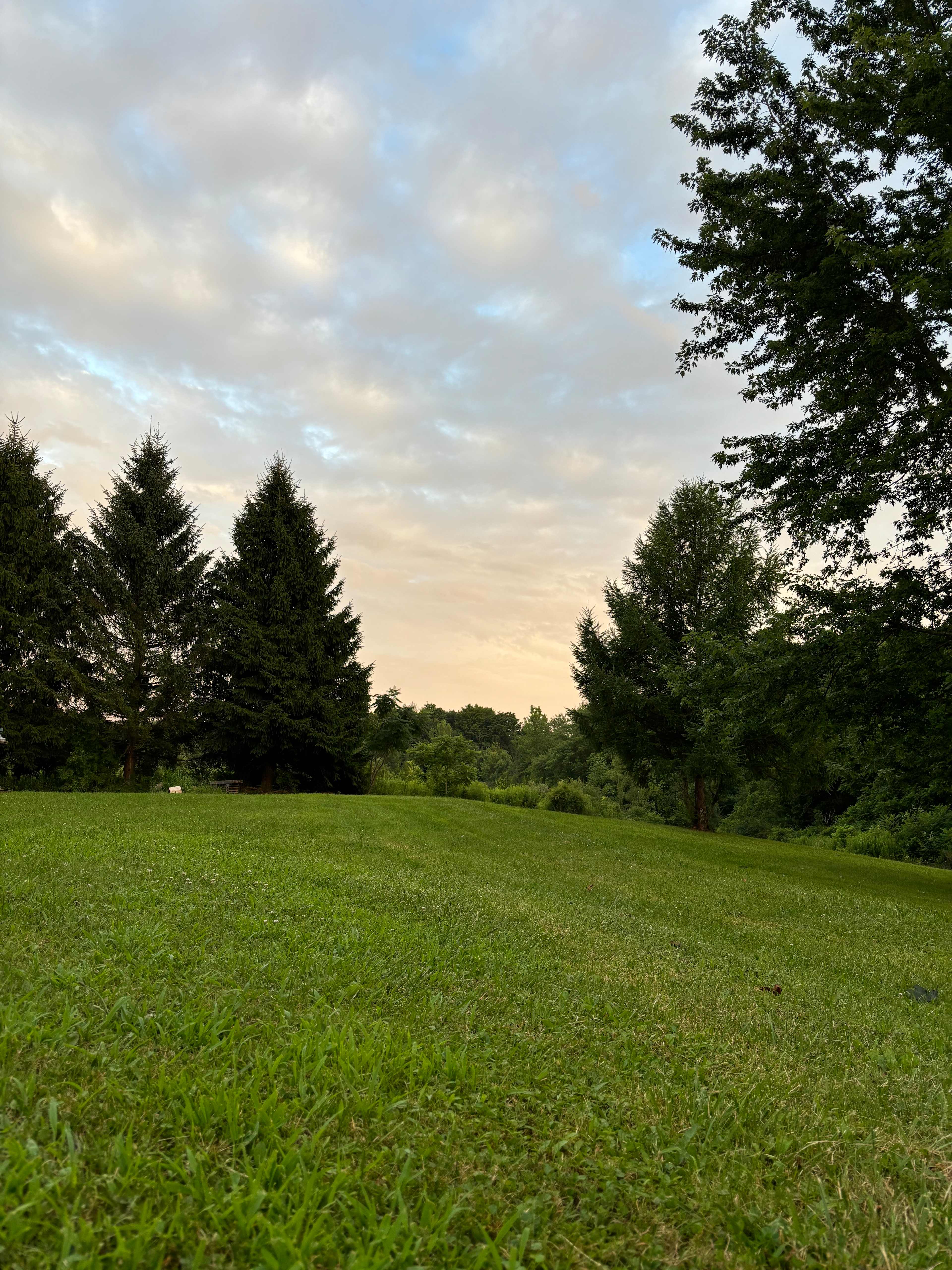 Daniels Manor