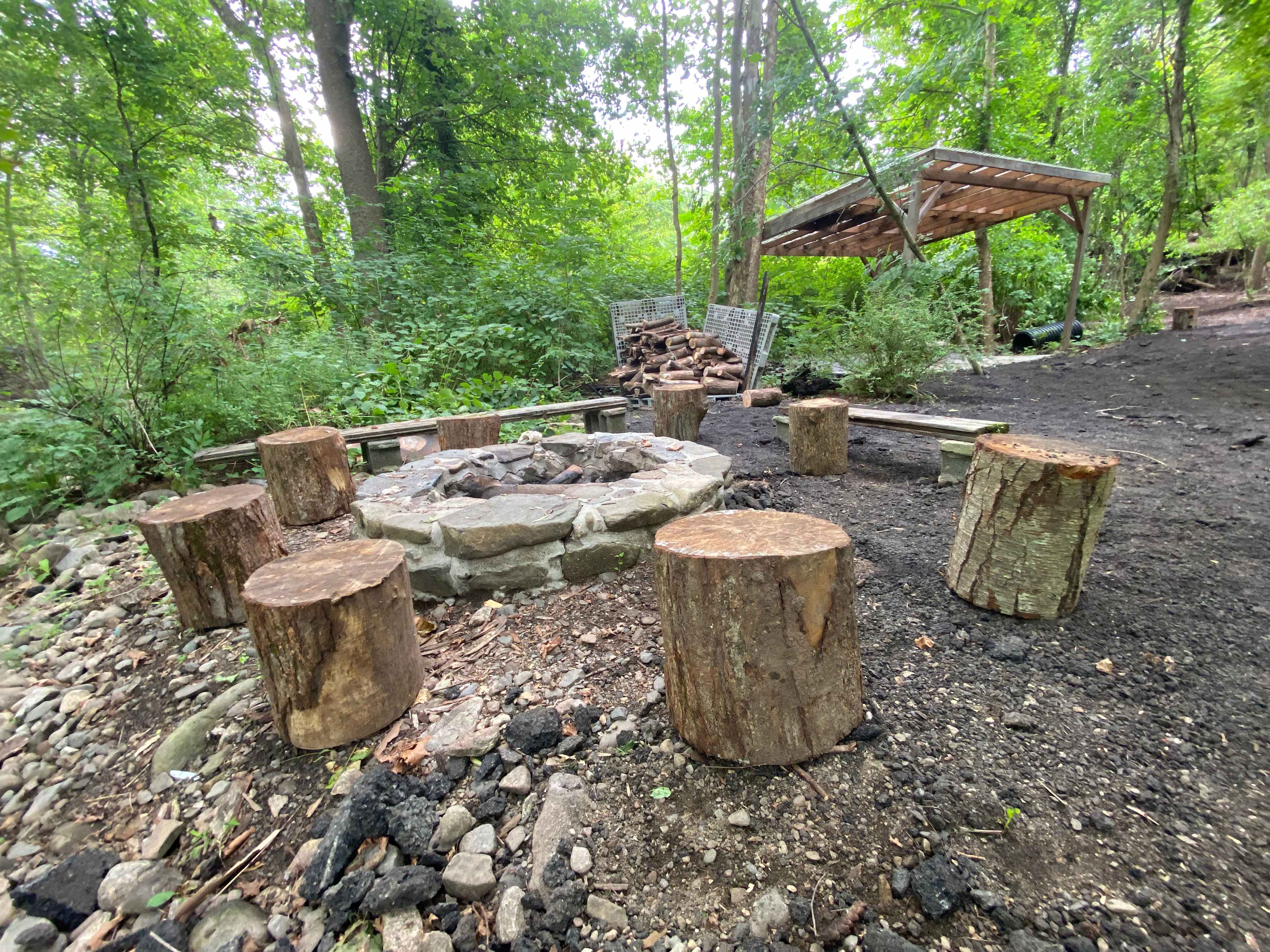 Bare Camping
