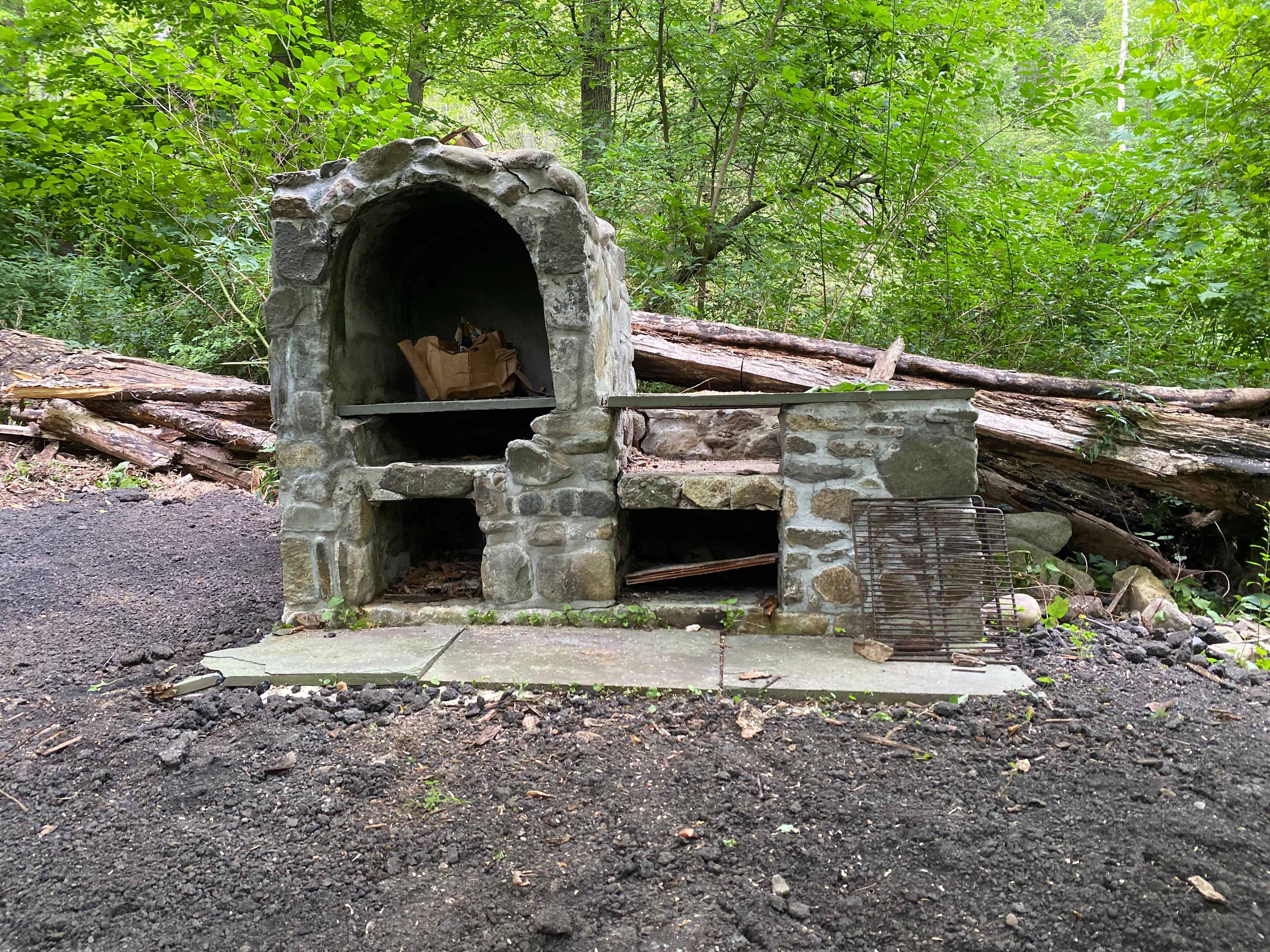 Picture of the site