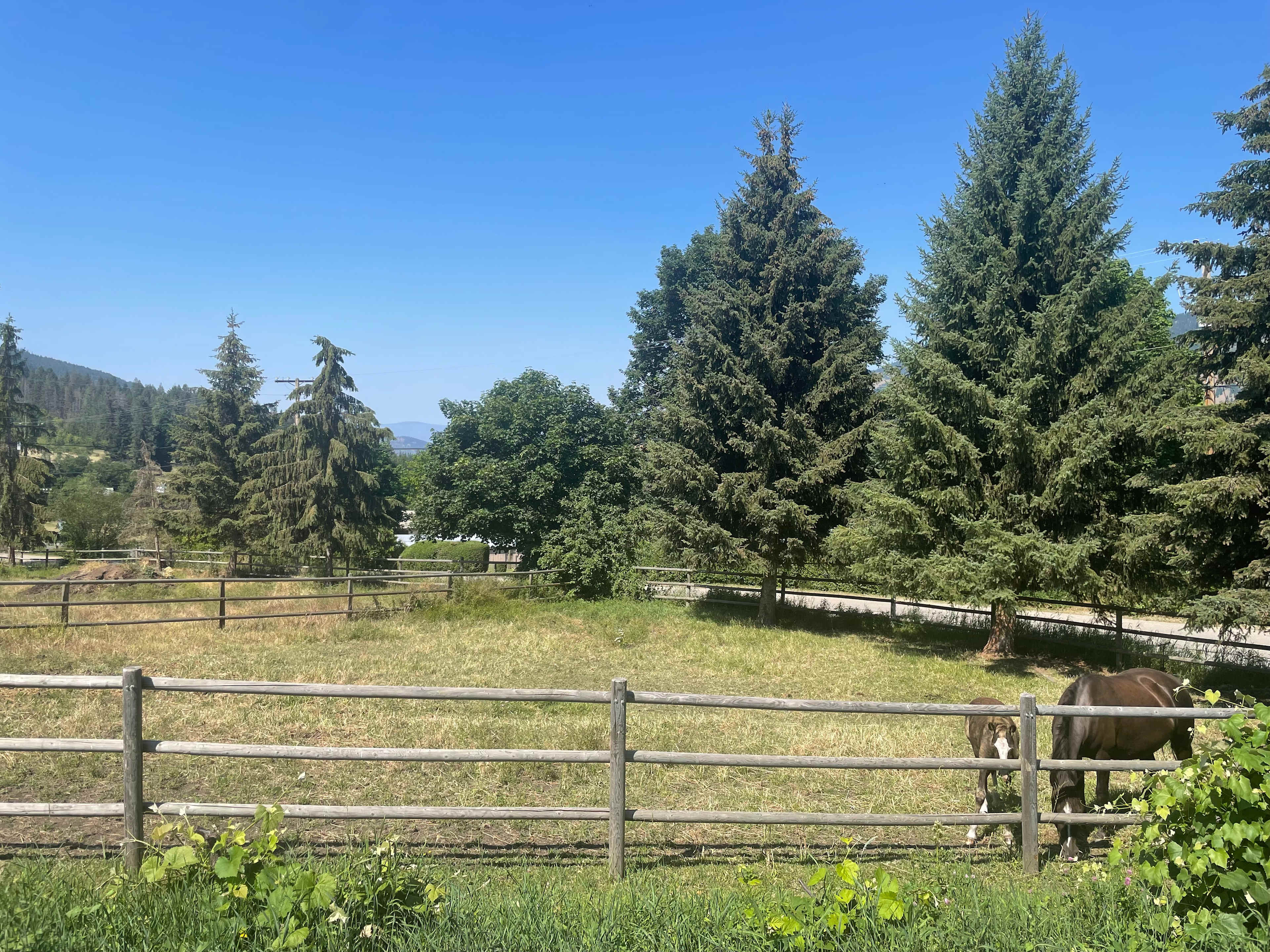 K & J Acres